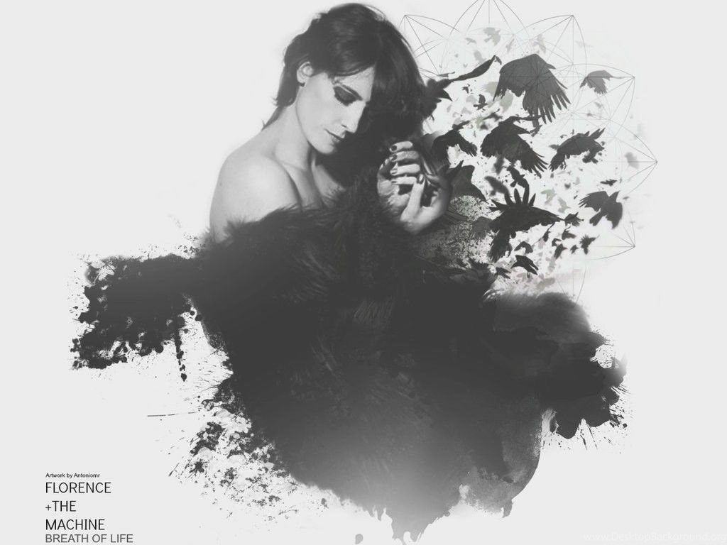 Florence And The Machine Wallpaper HD Download Desktop Background