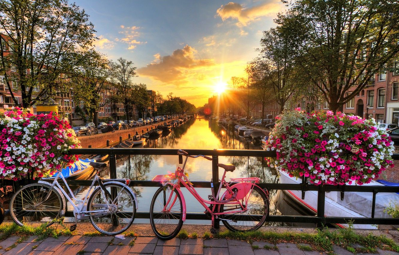 Wallpaper rays, sunset, flowers, machine, bridge, the city, home, boats, the evening, Amsterdam, channel, Netherlands, bikes, Holland image for desktop, section город