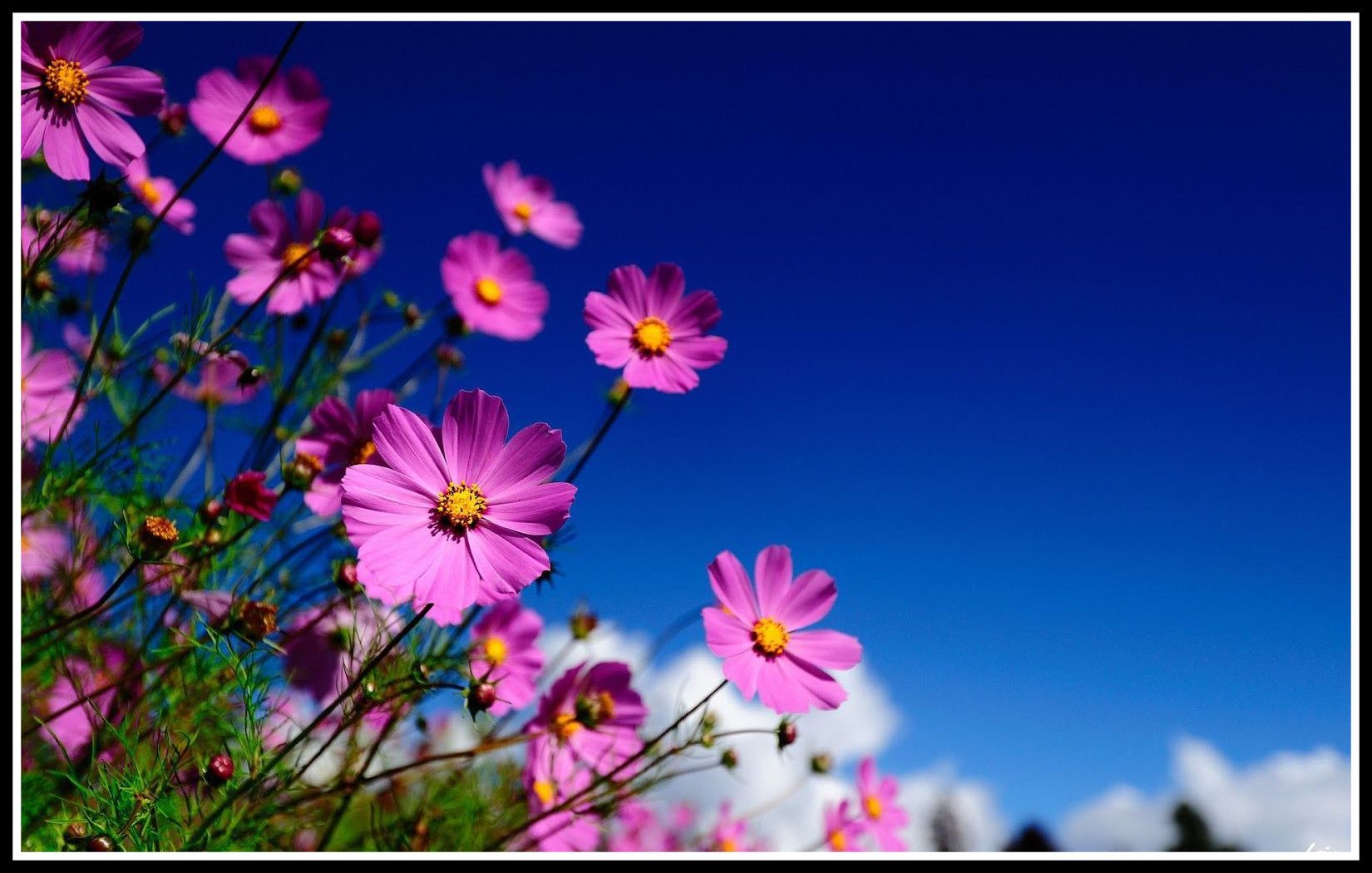 Wallpaper For Desktop Full Size Wallpaper In Computer, Download Wallpaper