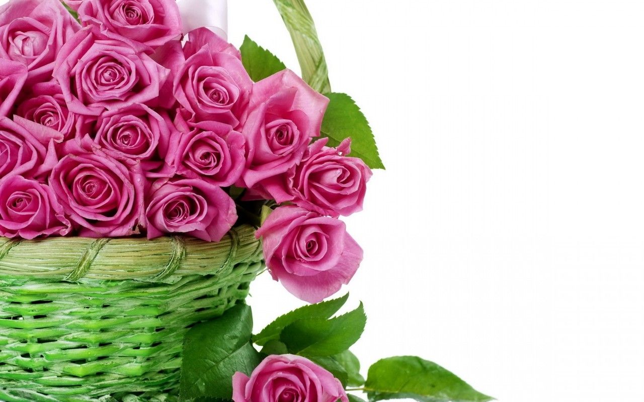 Beautiful Beautiful Flowers 3D Image. Top Collection of different types of flowers in the image HD