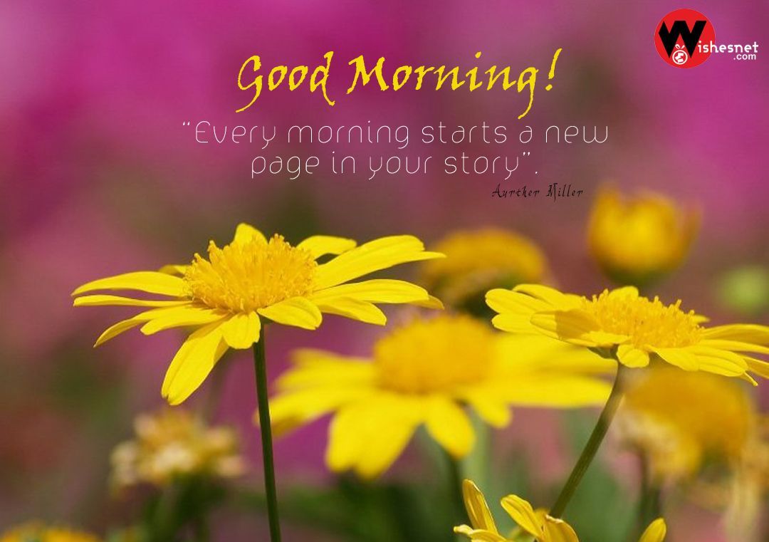 Good Morning Beautiful Flowers Image Download. Good morning beautiful flowers, Good morning wallpaper, Good morning beautiful