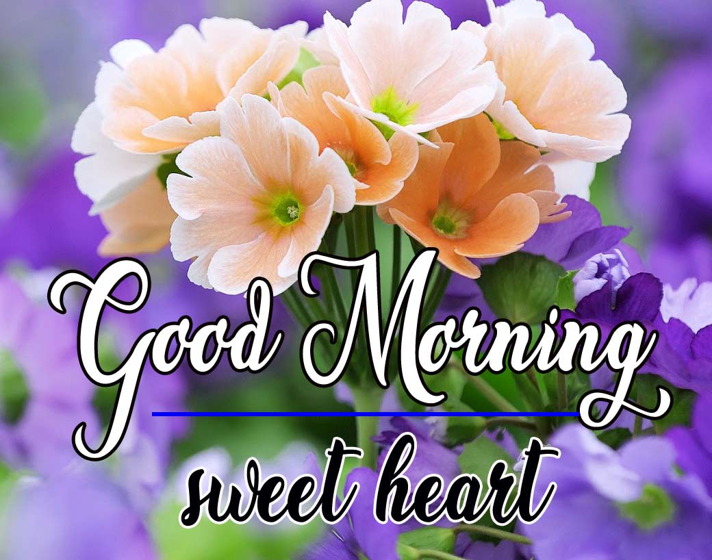 Good Morning Sweetheart Image Wallpaper Pics Photo HD Download