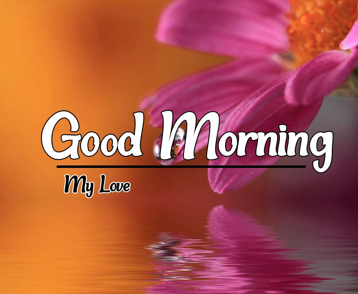 Very Beautiful Good Morning Image HD Download