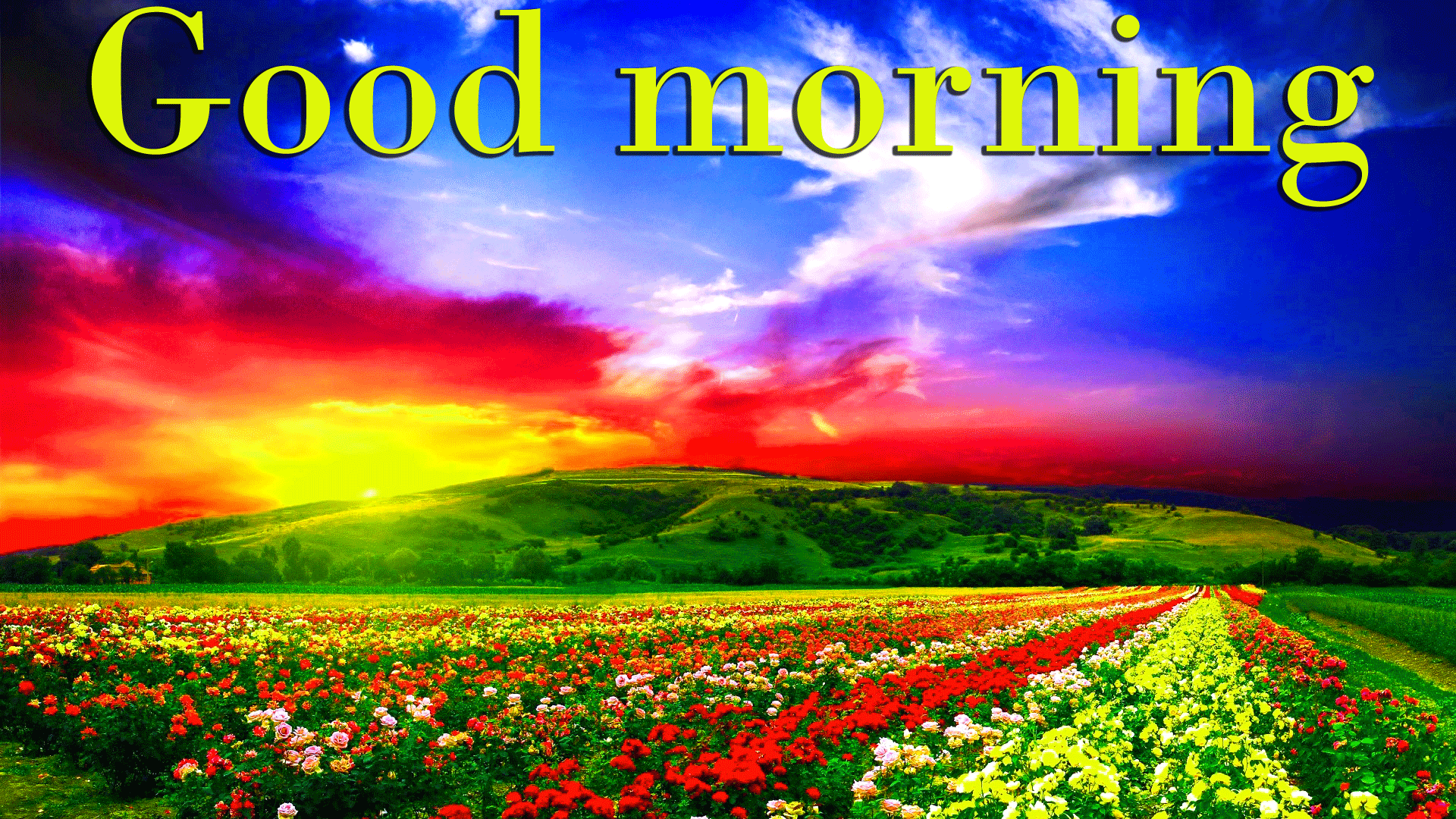 Good Morning Wallpapers Download - Wallpaper Cave