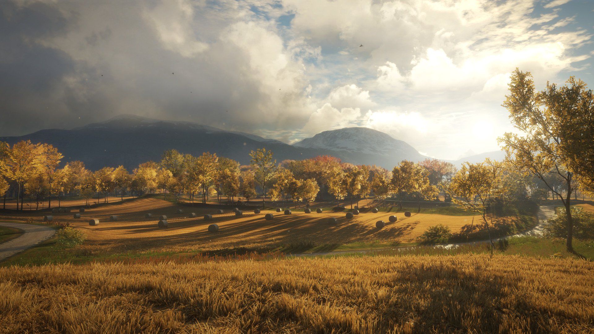 TheHunter: Call Of The Wild HD Wallpaper and Background Image