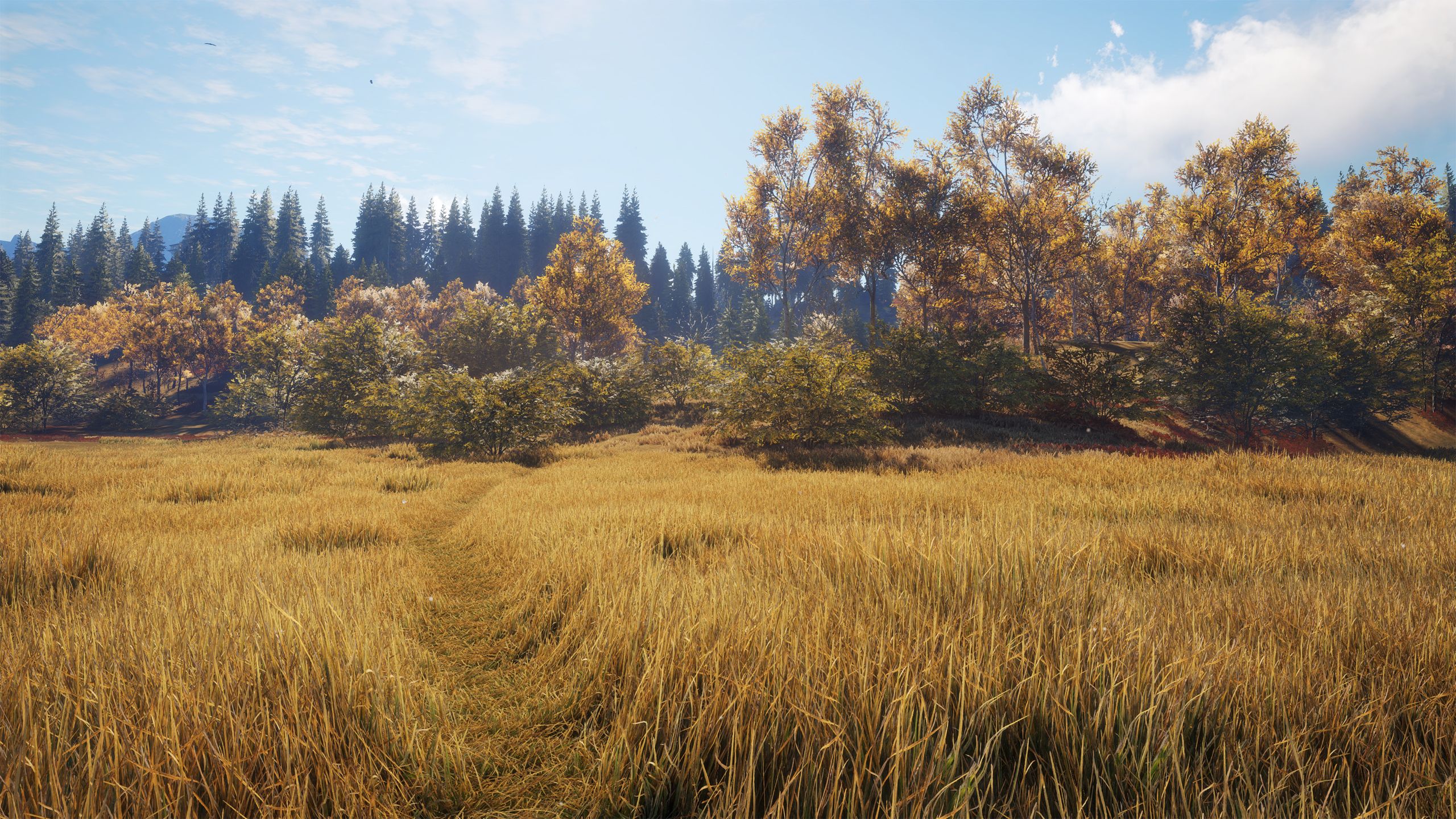 The Call of the Wild Wallpaper. Wild Crazy Wallpaper, Wild Wallpaper and Wild Reindeer Wallpaper