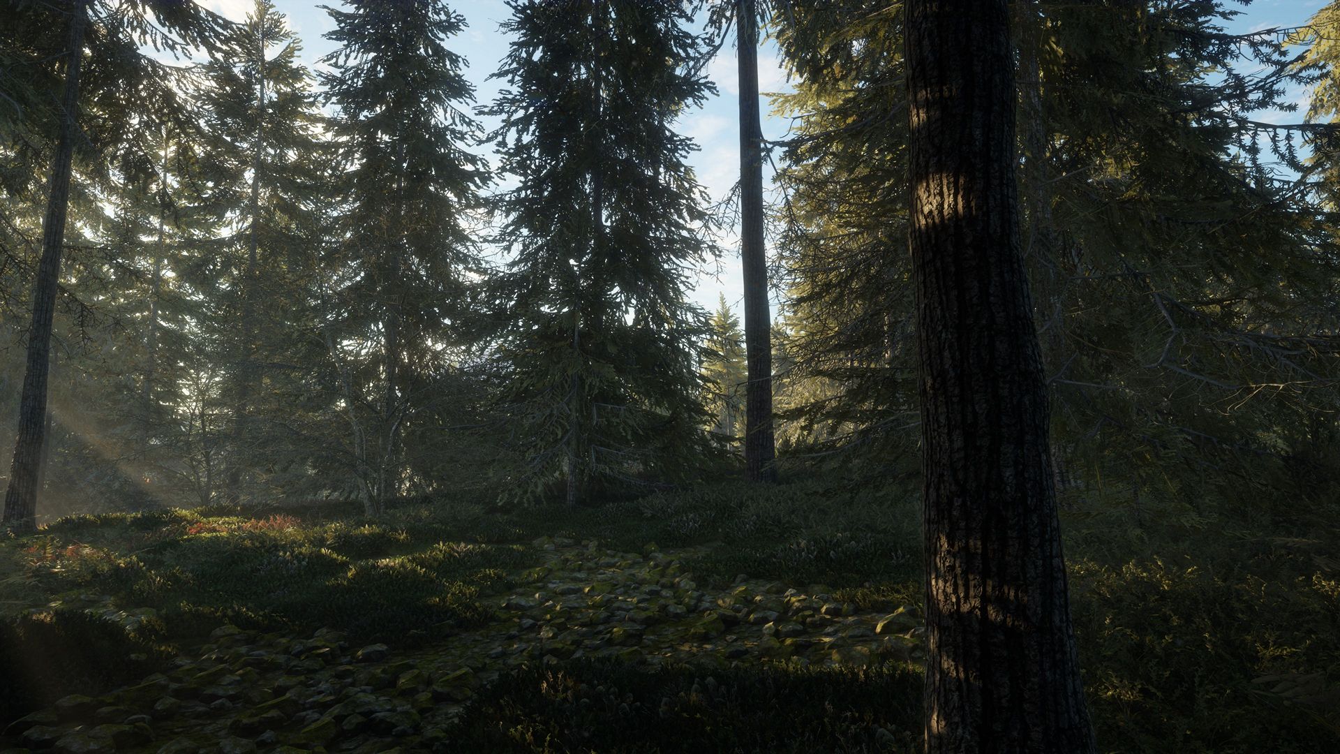 The Call of the Wild Wallpaper. Wild Crazy Wallpaper, Wild Wallpaper and Wild Reindeer Wallpaper