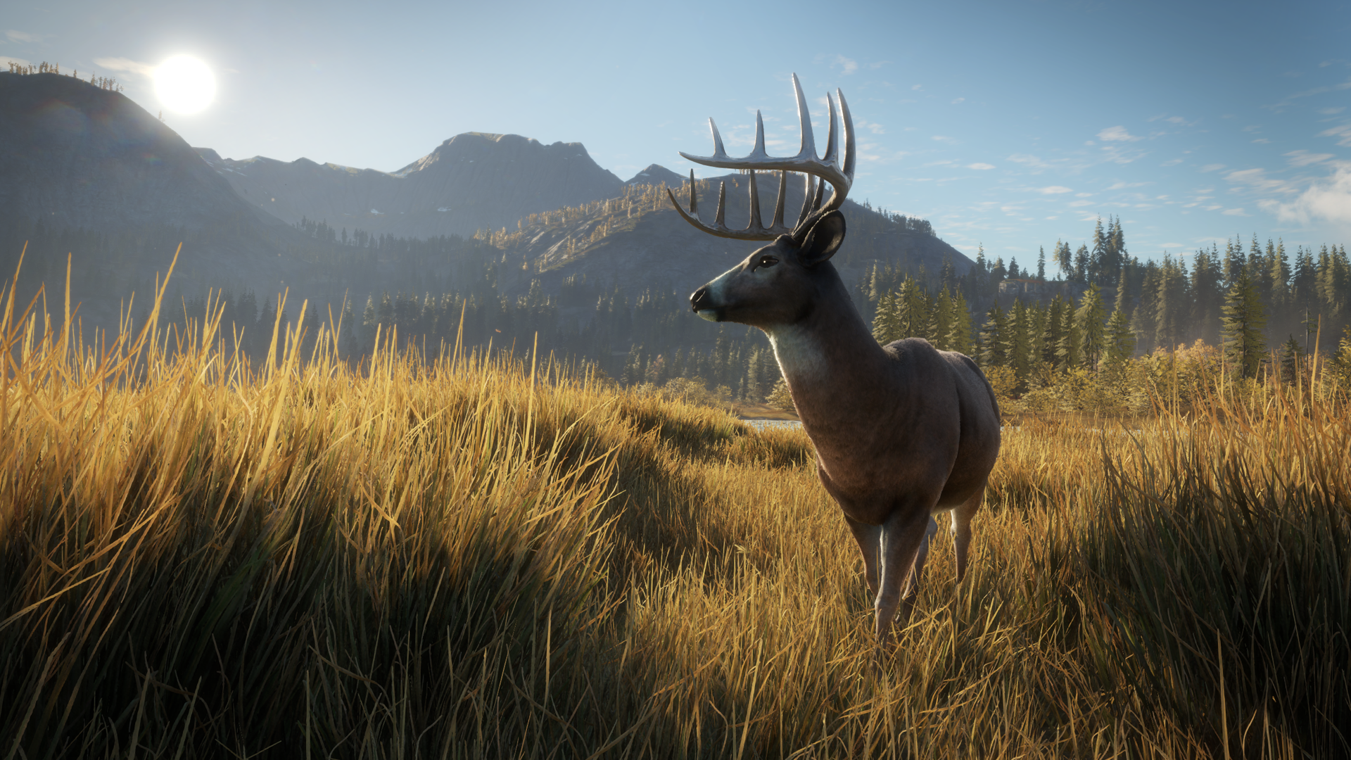 the hunter call of the wild steam diamond deer