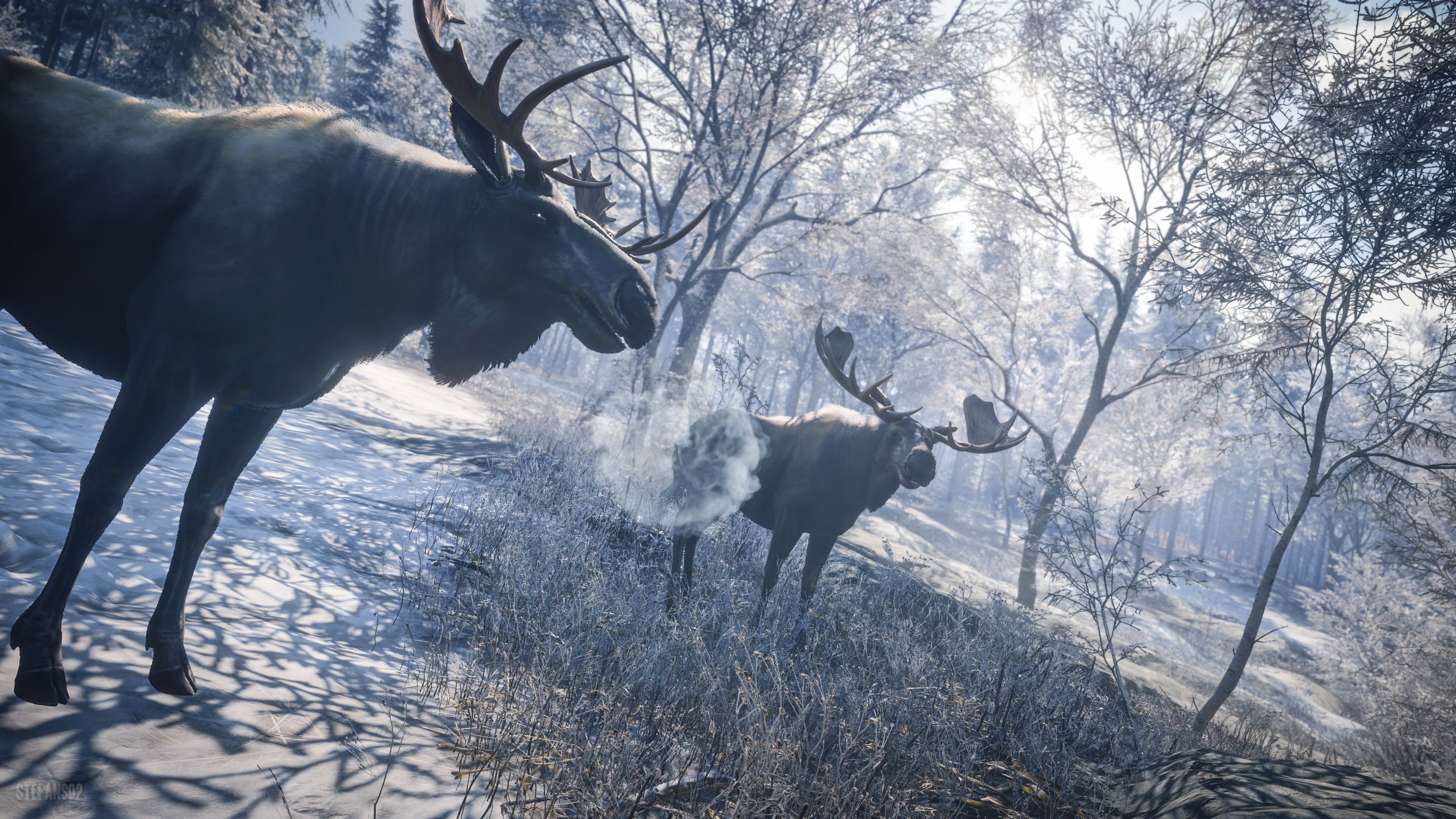 TheHunter: Call of the Wild / Welcome to the Moose Meeting 4k Ultra HD Wallpaper