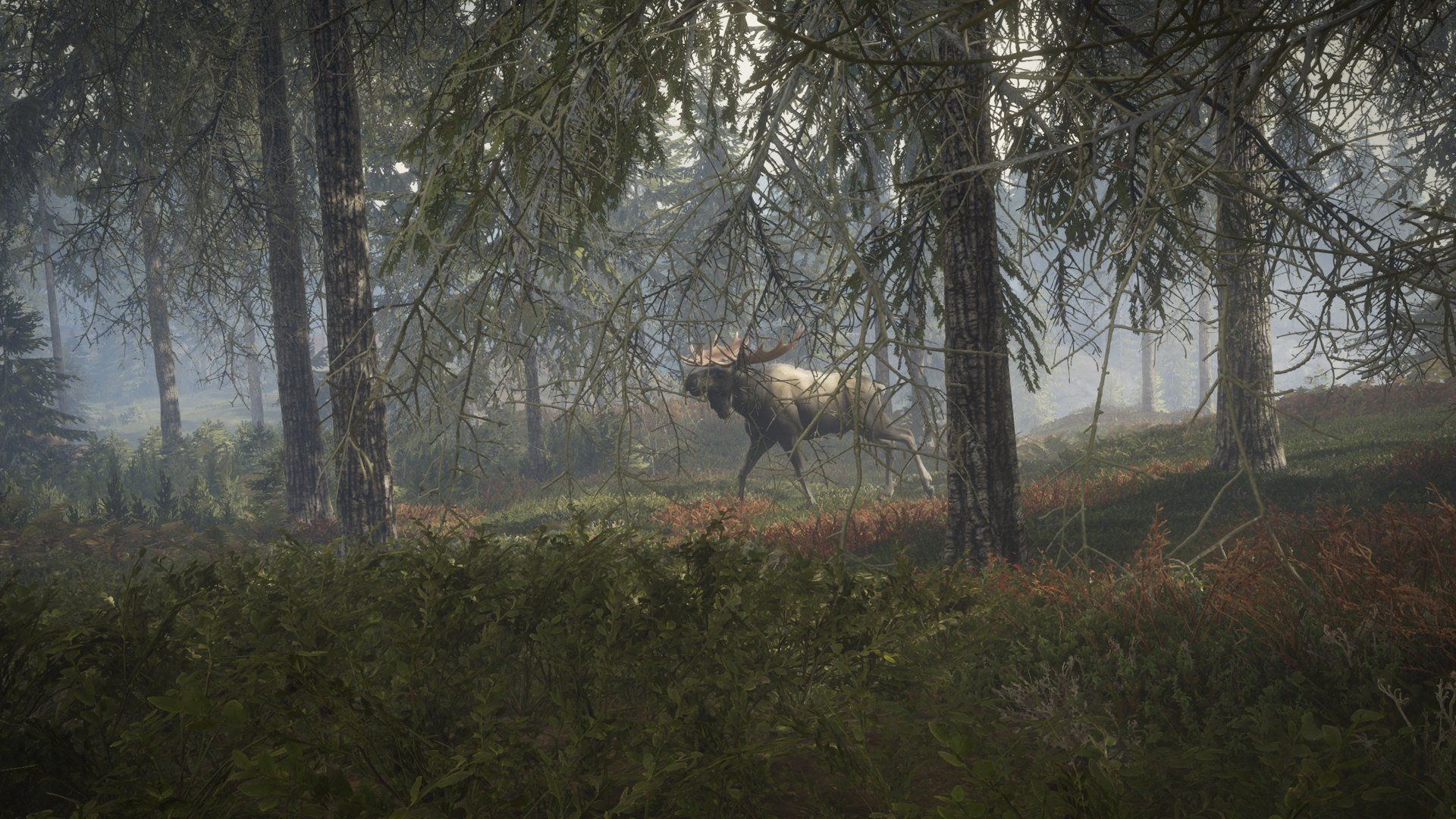 theHunter: Call of the Wild Comes to Xbox One in 2017