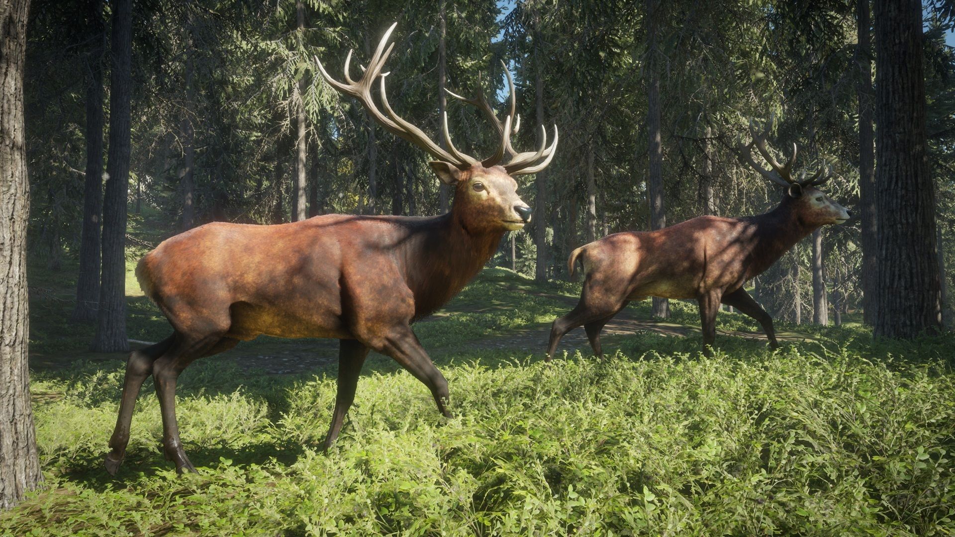 Steam - theHunter: Call of the Wild™ - The species of Hirschfelden and Layton Lake District