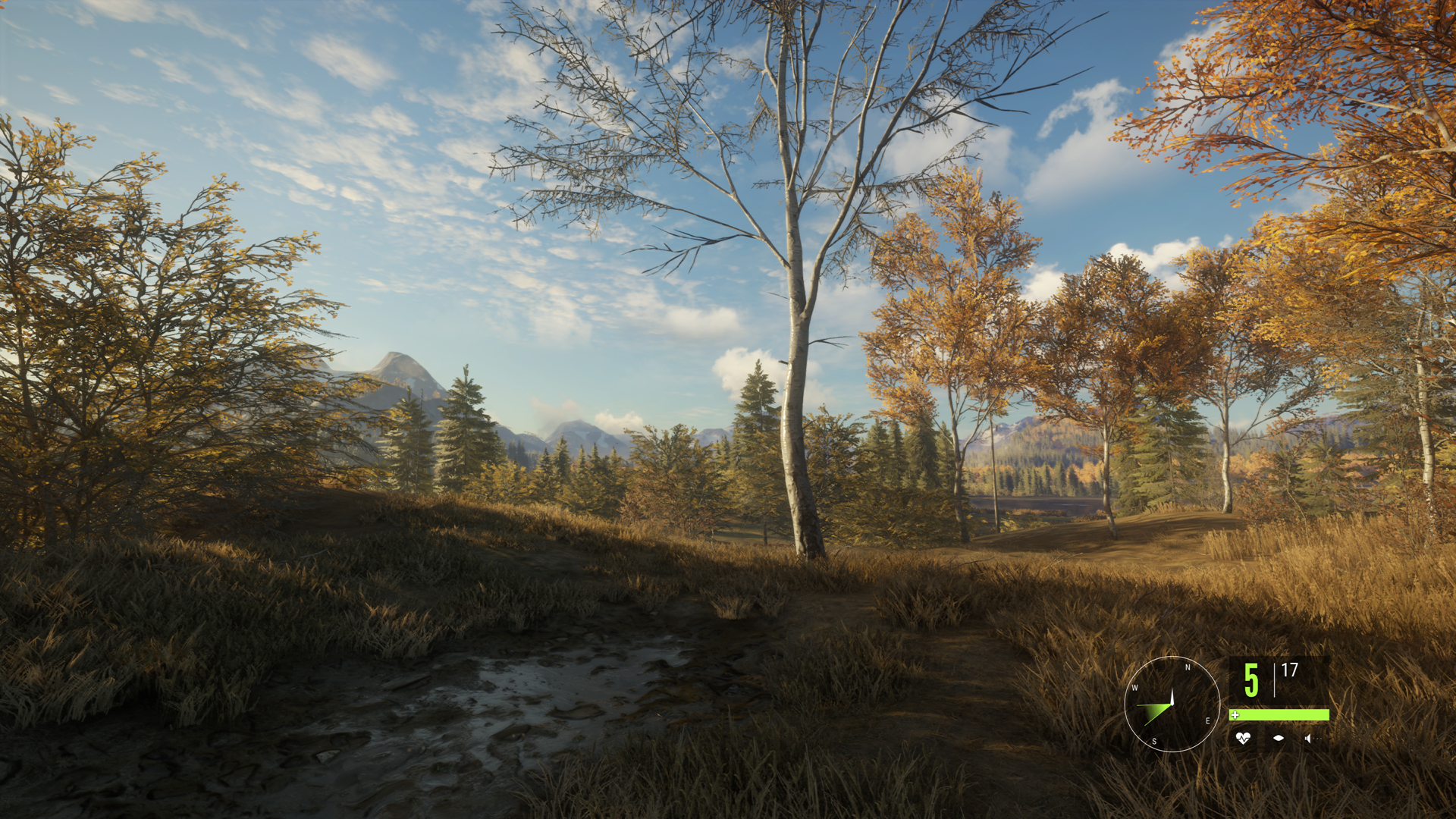 List of enhancements made to theHunter: Call of the Wild detailed (check comments)