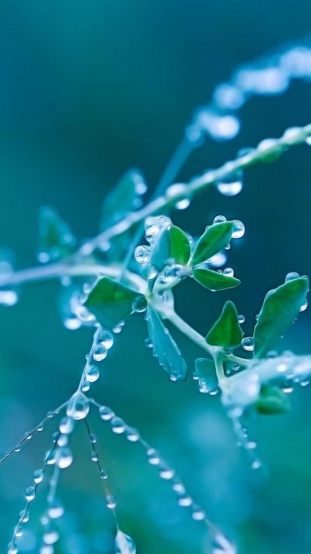 New Wallpaper Downloading