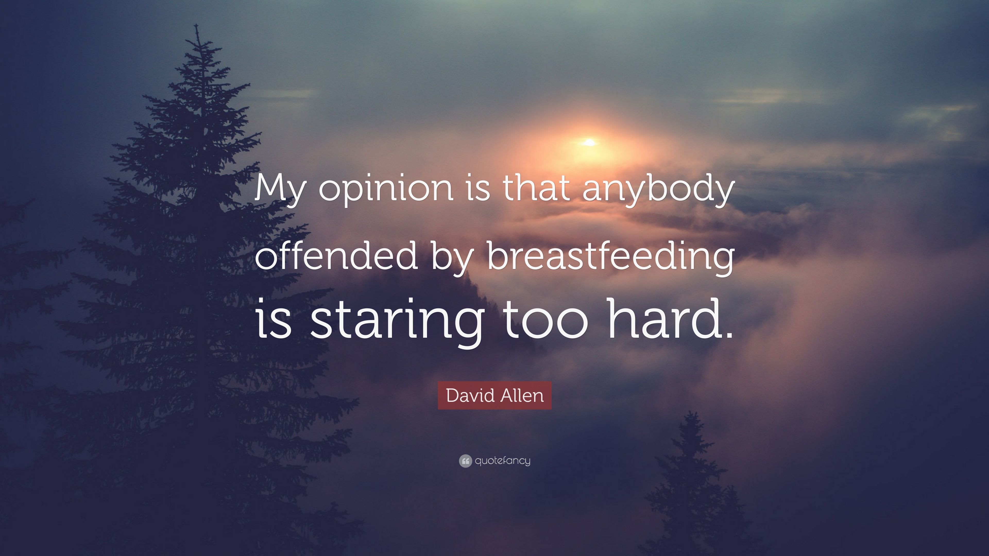 David Allen Quote: "My opinion is that anybody offended by breastfeedi...
