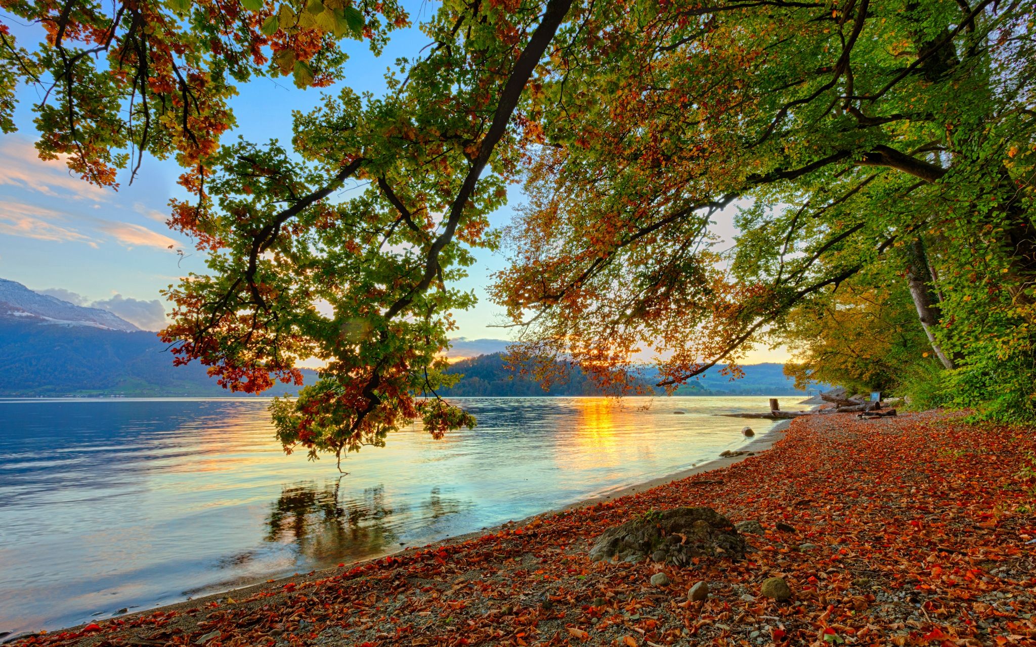 Autumnal Tune HD Wallpaper. Background Imagex1280