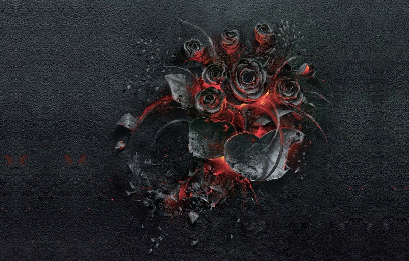 Wallpaper flowers, fire, rose image for desktop, section разное