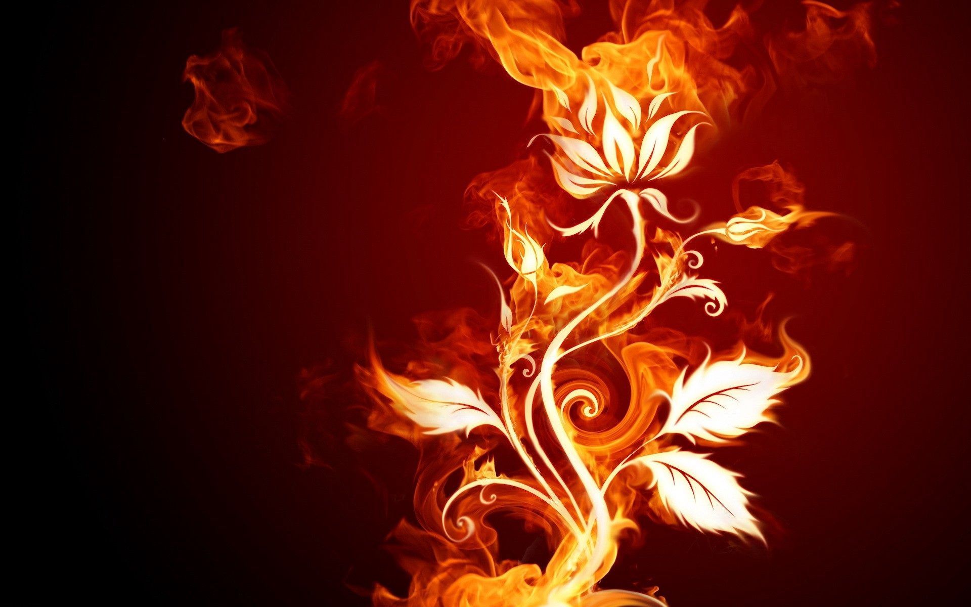 Download wallpaper 1920x1200 rose, fire, patterns, background HD background