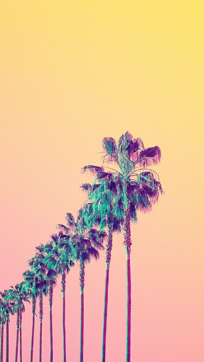 Tall Palm Trees Aesthetic Desktop Wallpaper Sunset Sky Background In Yellow And Pink. Aesthetic Wallpaper, Aesthetic Desktop Wallpaper, Mandala Design Art