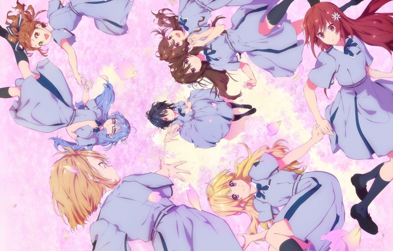 Wallpaper Joy, Knee, Schoolgirls, Bow, Blue Dress, Girlfriend, The Cherry Blossoms, 22 7, Sakura Fujima, Akane Maruyama, Jun Toda, Ayaka Tachikawa, Nicole Saito, Miu Takigawa, By Yukiko Horiguchi, Kamiki Mikami Image For Desktop