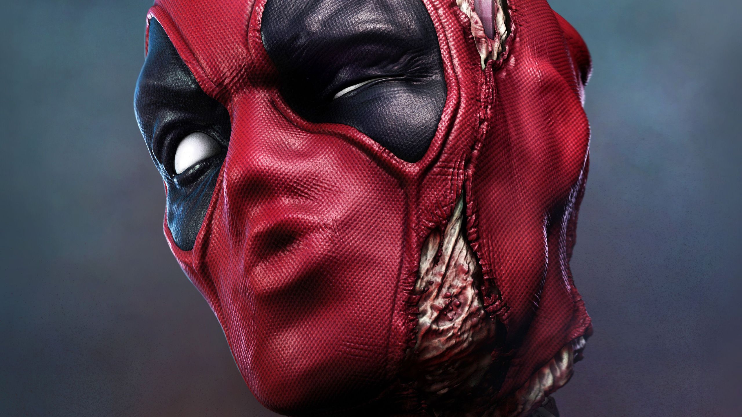 Deadpool Face 1440P Resolution HD 4k Wallpaper, Image, Background, Photo and Picture