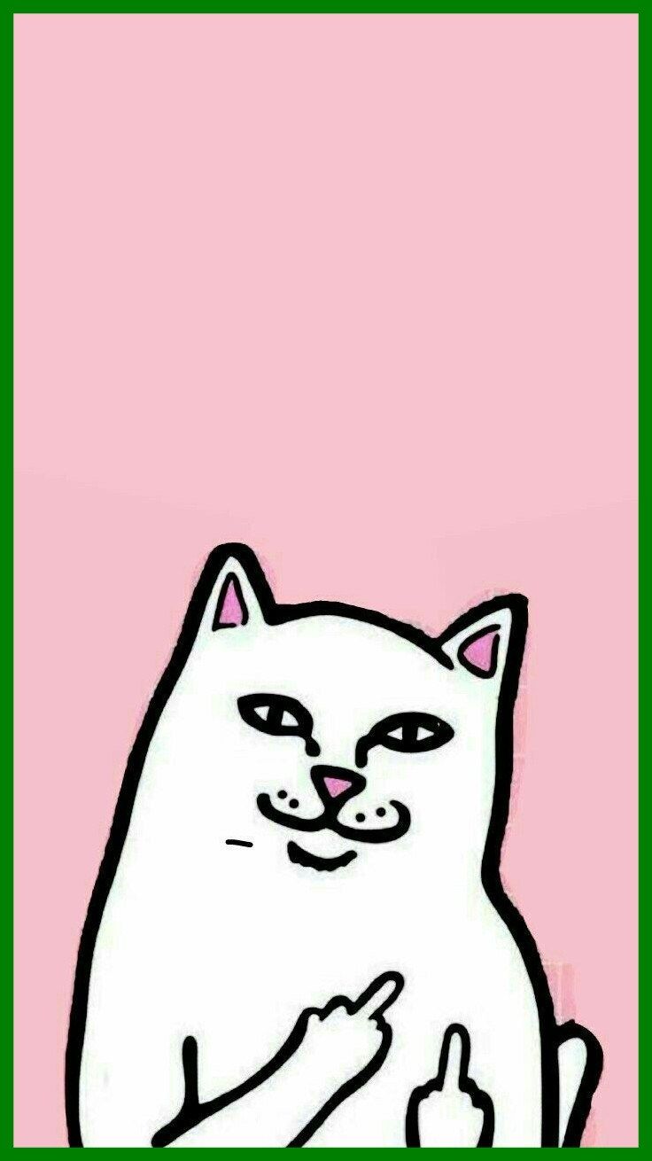 Dog Cartoon iPhone Wallpaper