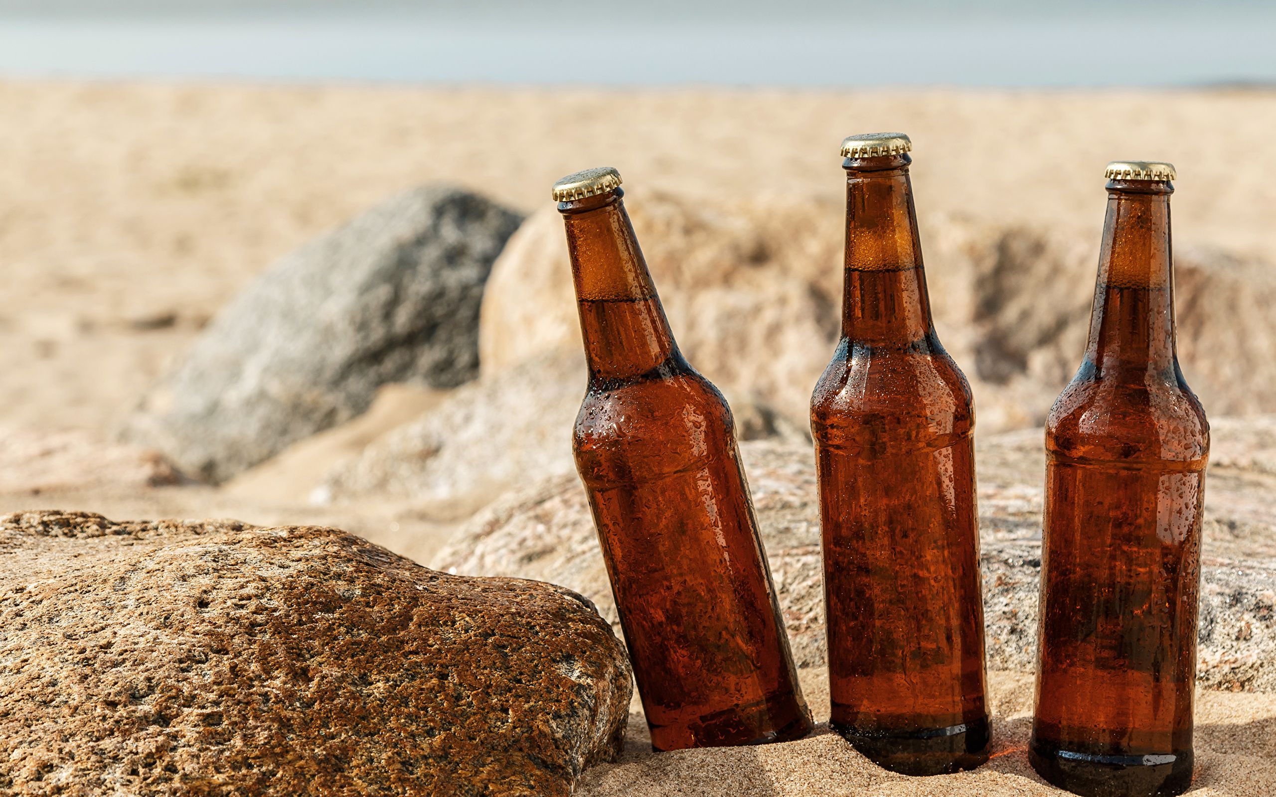 Desktop Wallpaper Beer Sand Food stone Bottle Three 3 2560x1600