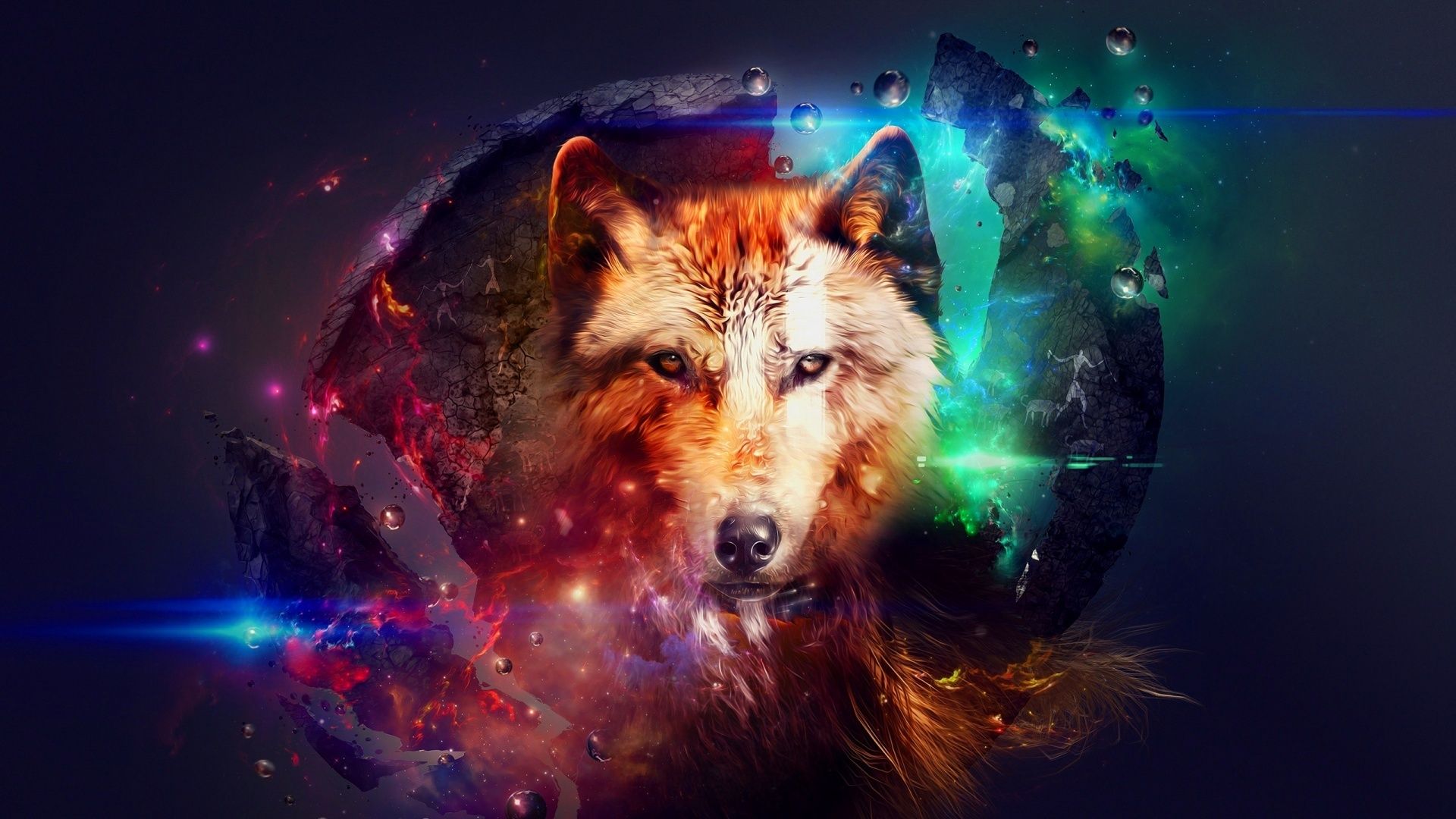 Wallpaper. Animals. photo. picture. wolf, wolf, space, rainbow