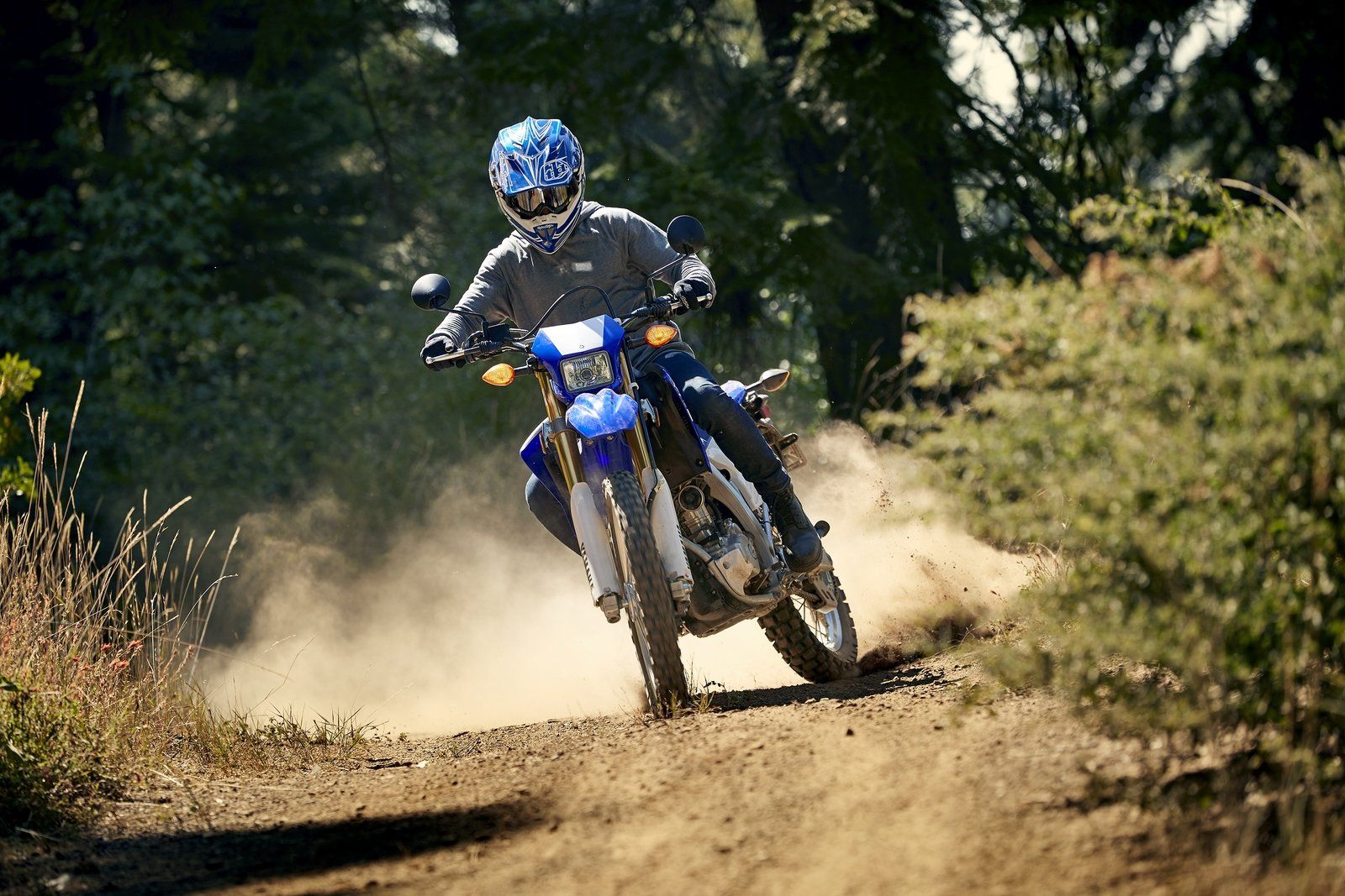 2020 Yamaha WR250R Picture, Photo, Wallpaper And Video