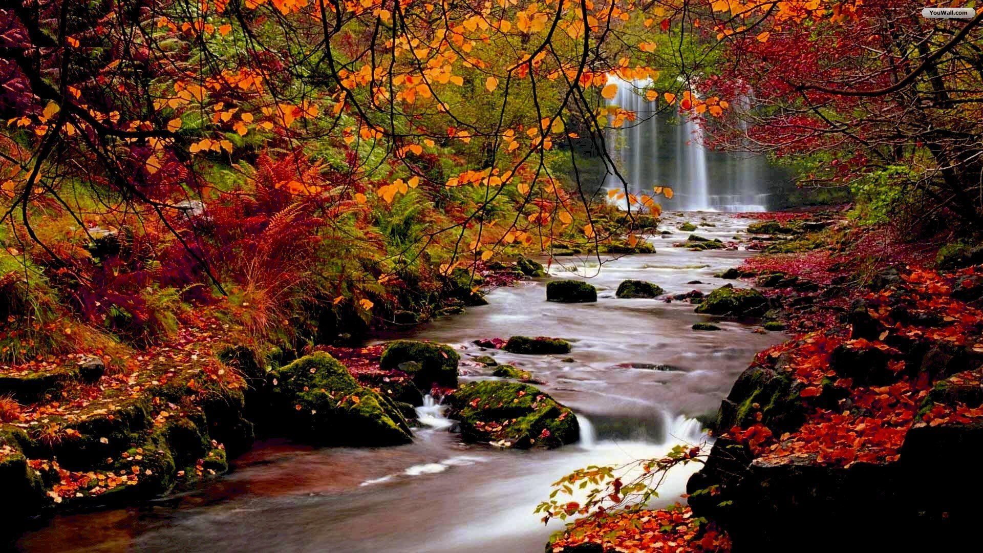 Fall image. YouWall Forest Waterfall Wallpaper, wallpaper. Autumn landscape, Autumn scenery, Desktop wallpaper fall