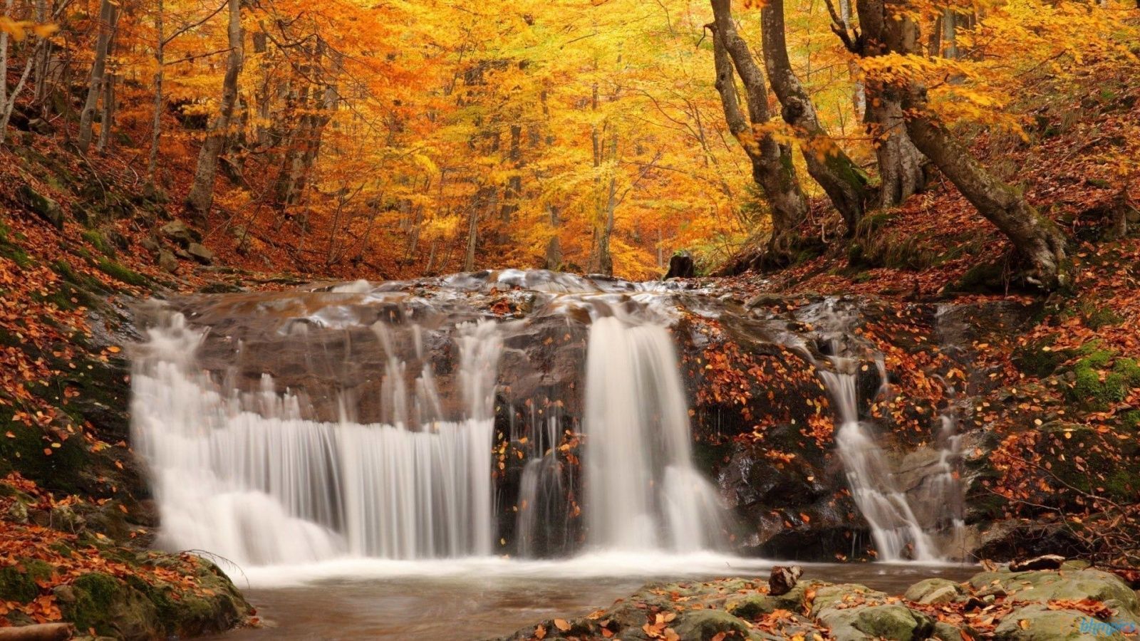 autumn waterfall 2. wallbeam.com. Waterfall wallpaper, Waterfall scenery, Forest waterfall