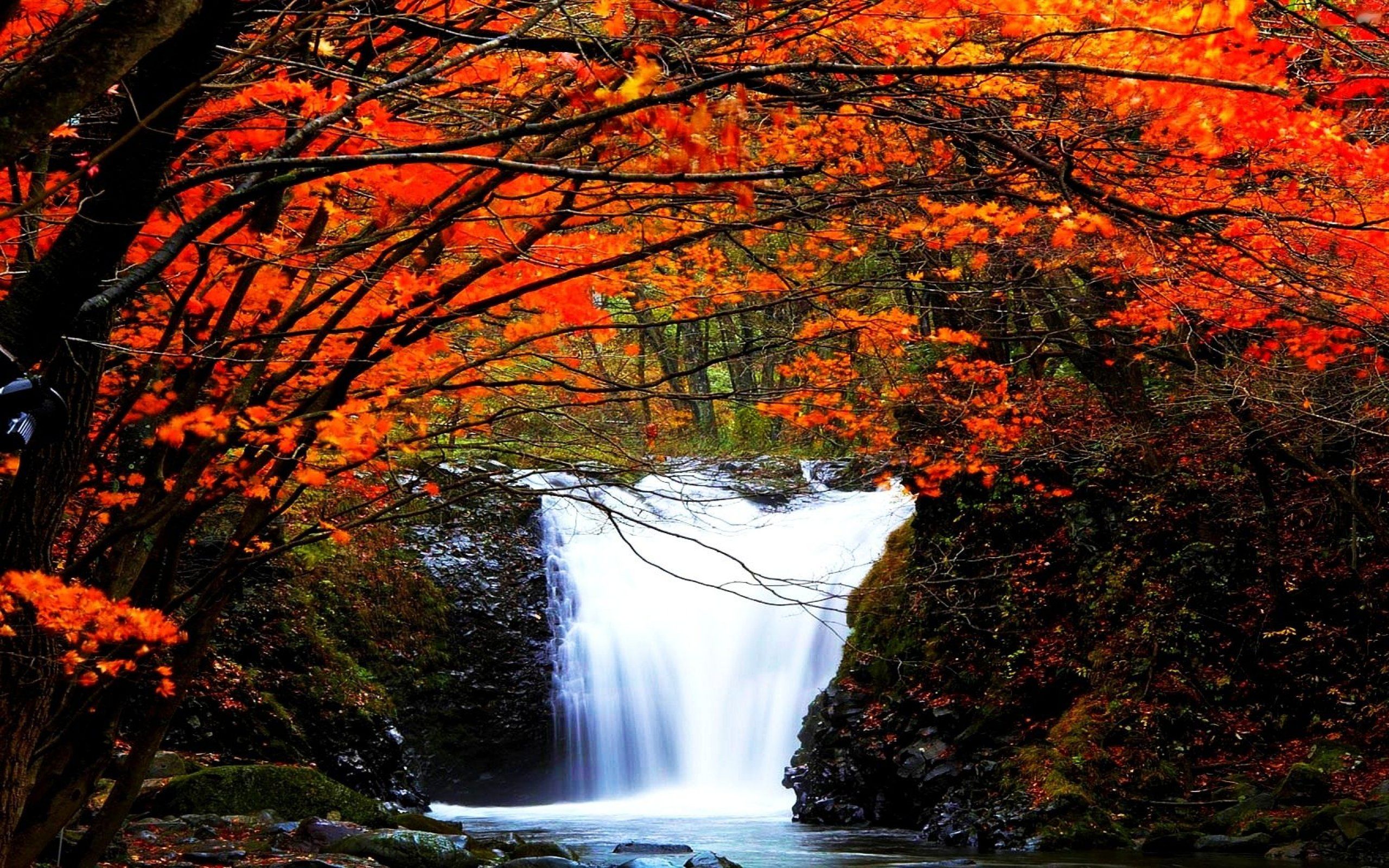 waterfall, River, Landscape, Nature, Waterfalls, Autumn Wallpaper HD / Desktop and Mobile Background