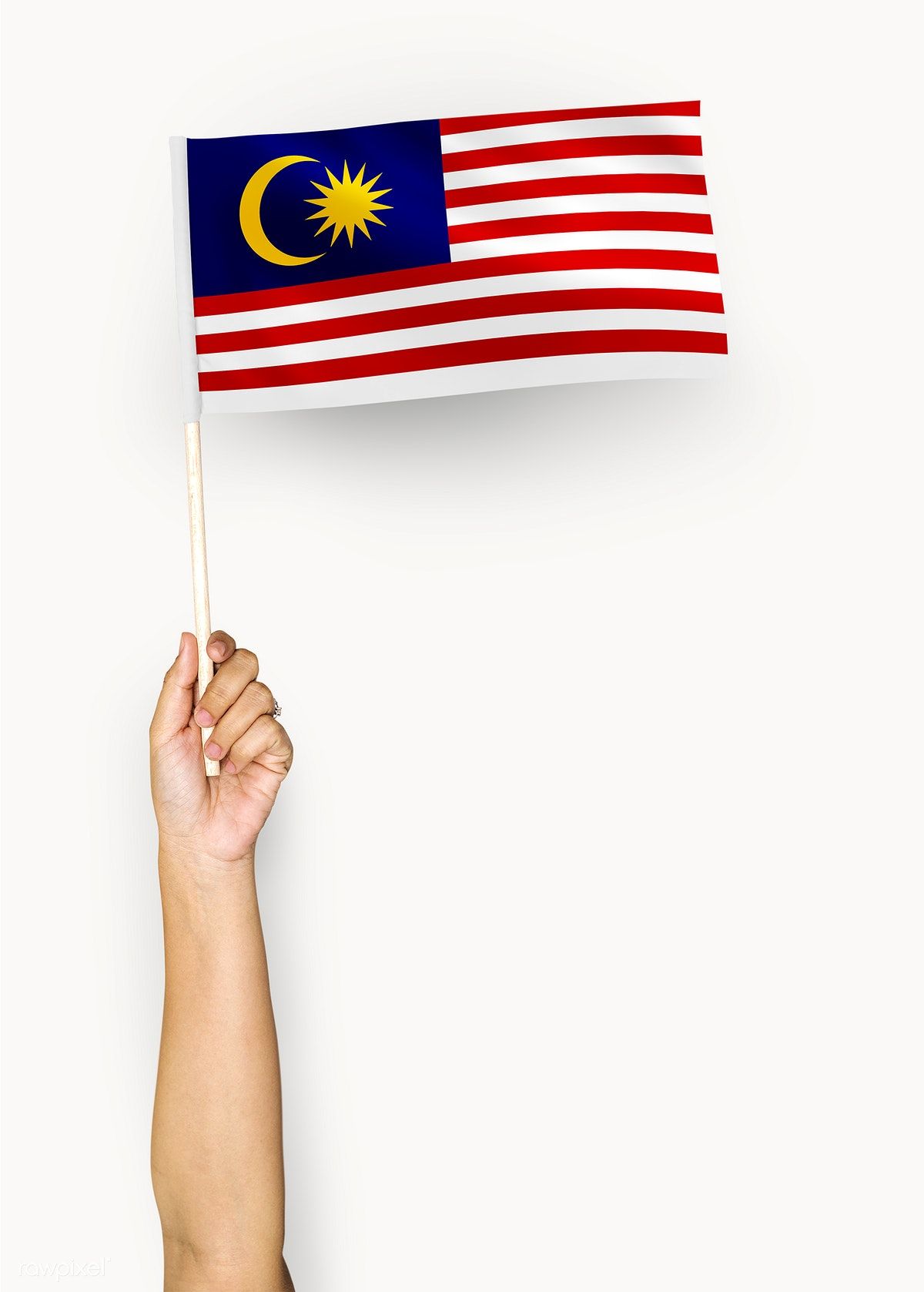 Person waving the flag of Malaysia. free image. Malaysia flag, Flag, Malaysia