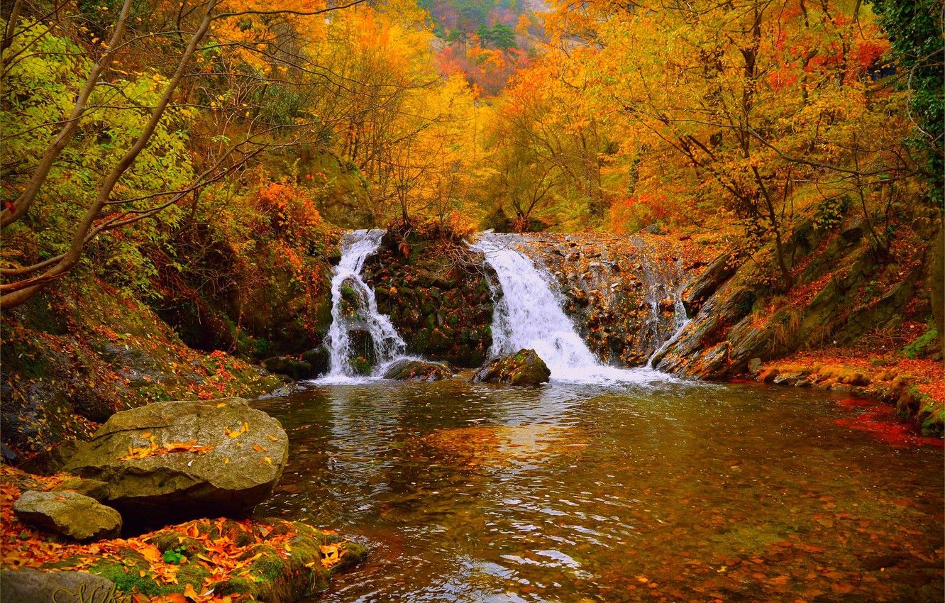 Wallpaper Waterfall, Autumn, Forest, Fall, Autumn, Waterfall, Forest image for desktop, section природа