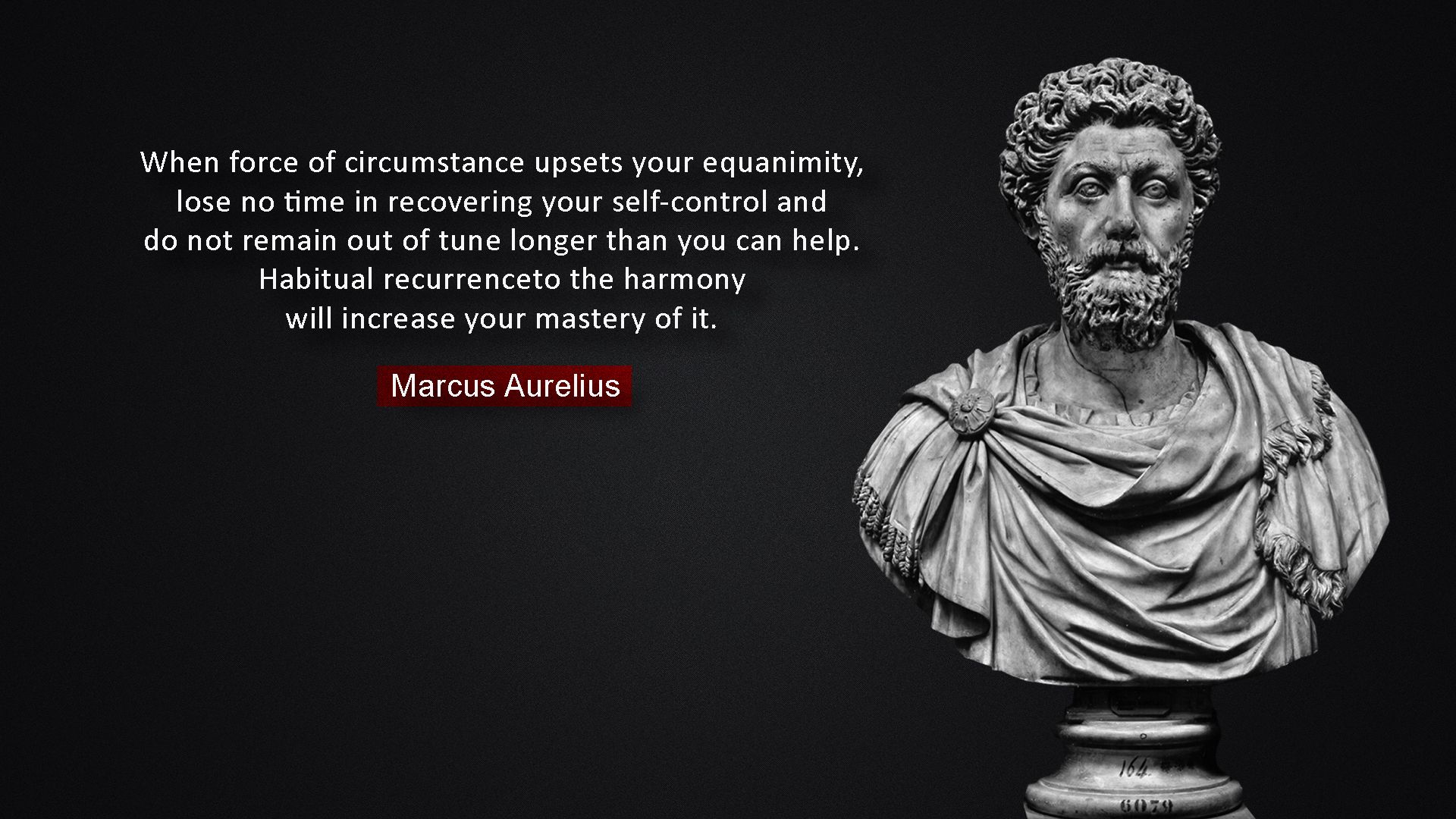 Marcus aurelius pfp