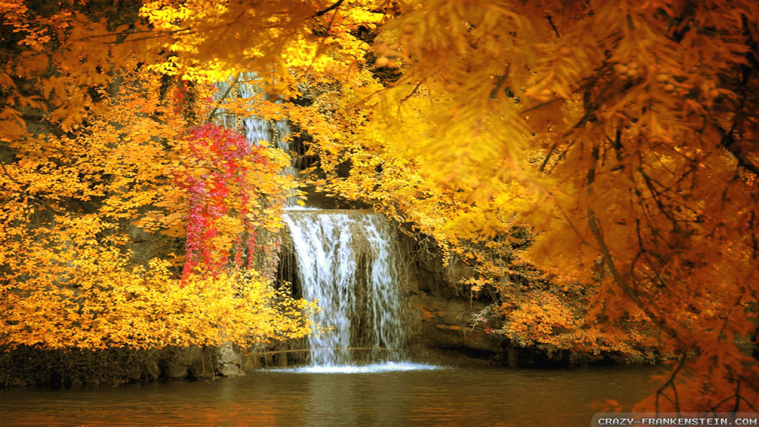 Beautiful Autumn wallpaper
