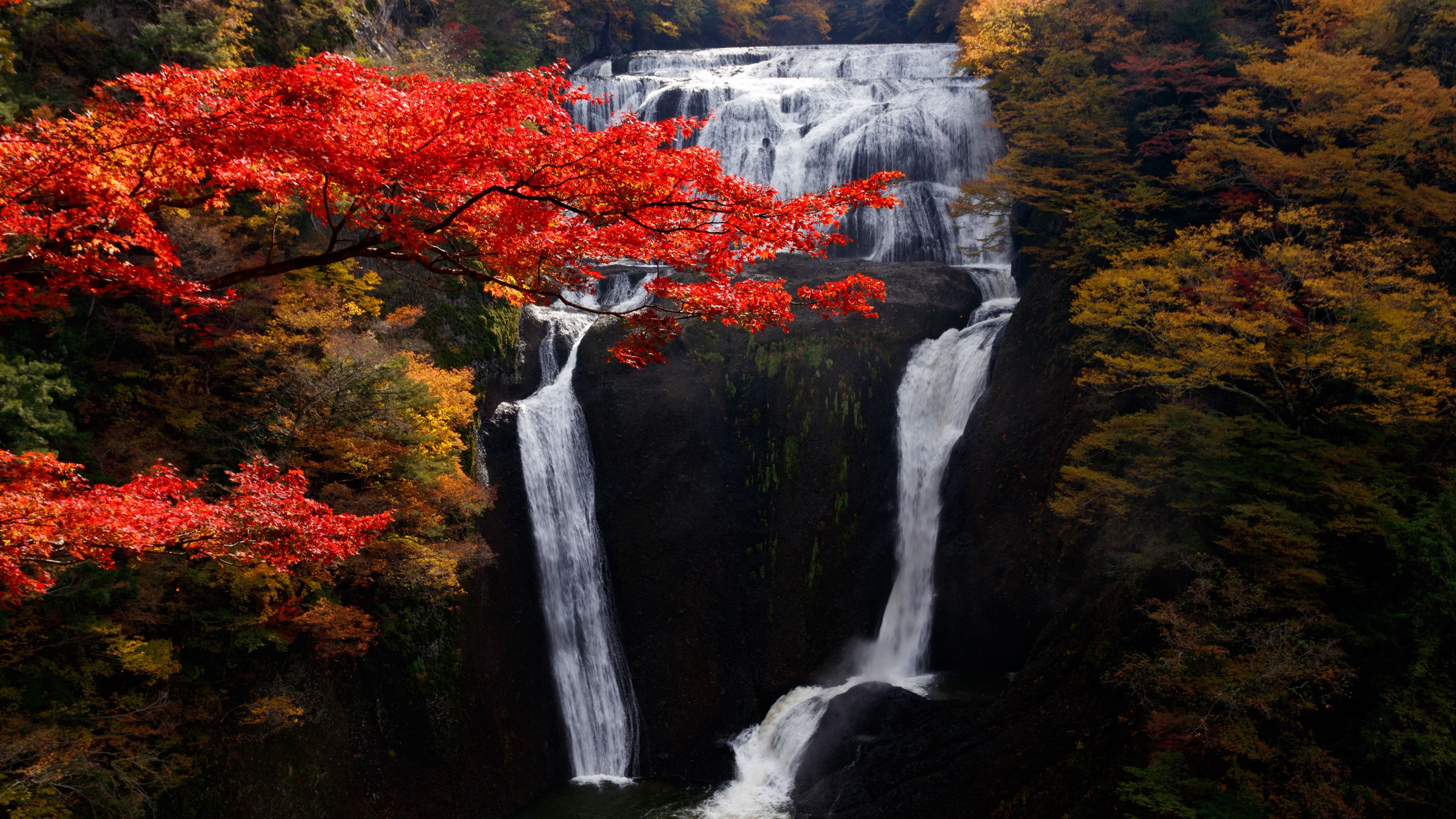Download wallpaper 3840x2160 waterfall, trees, precipice, current, autumn 4k uhd 16:9 HD background