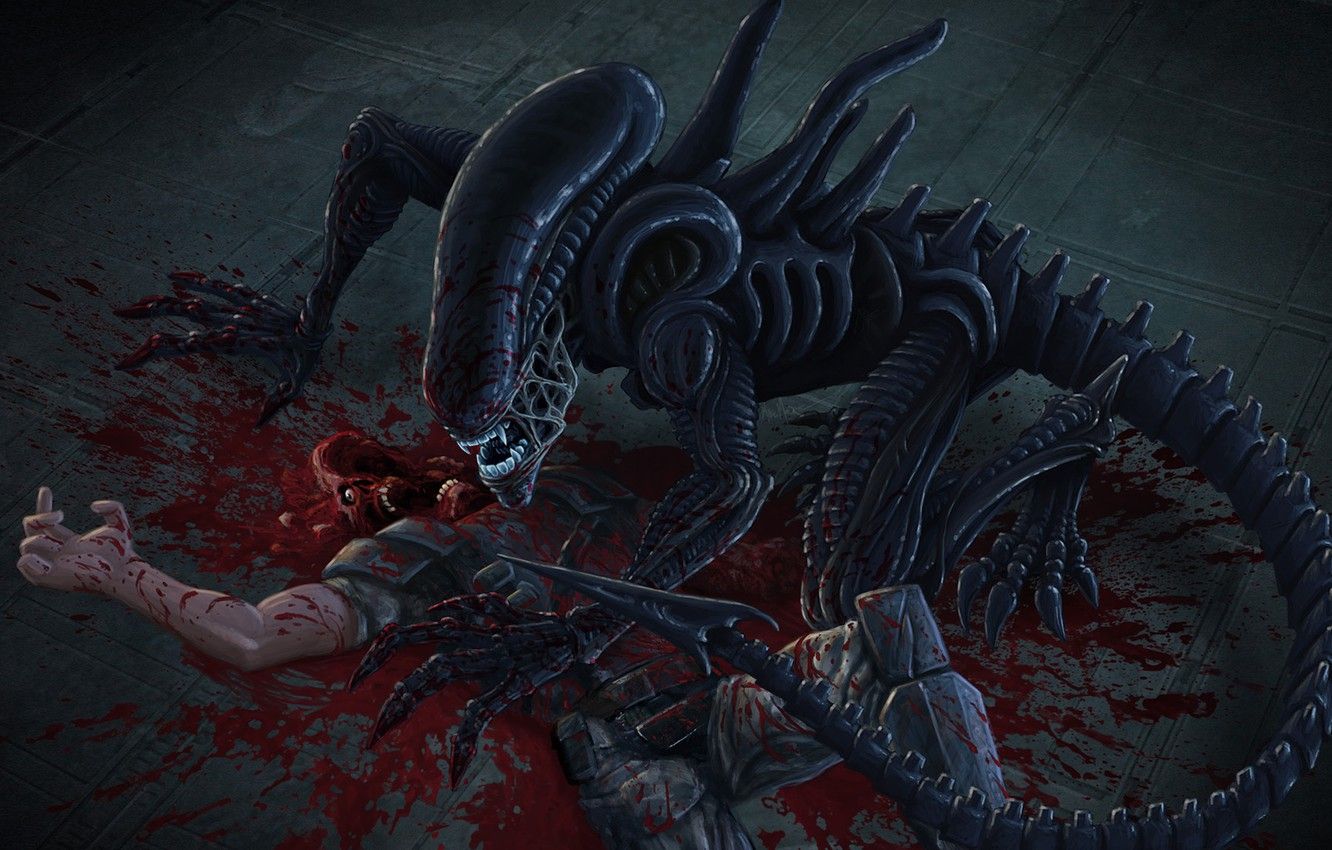 Wallpaper soldiers, the corpse, alien, xenomorph image for desktop, section фантастика