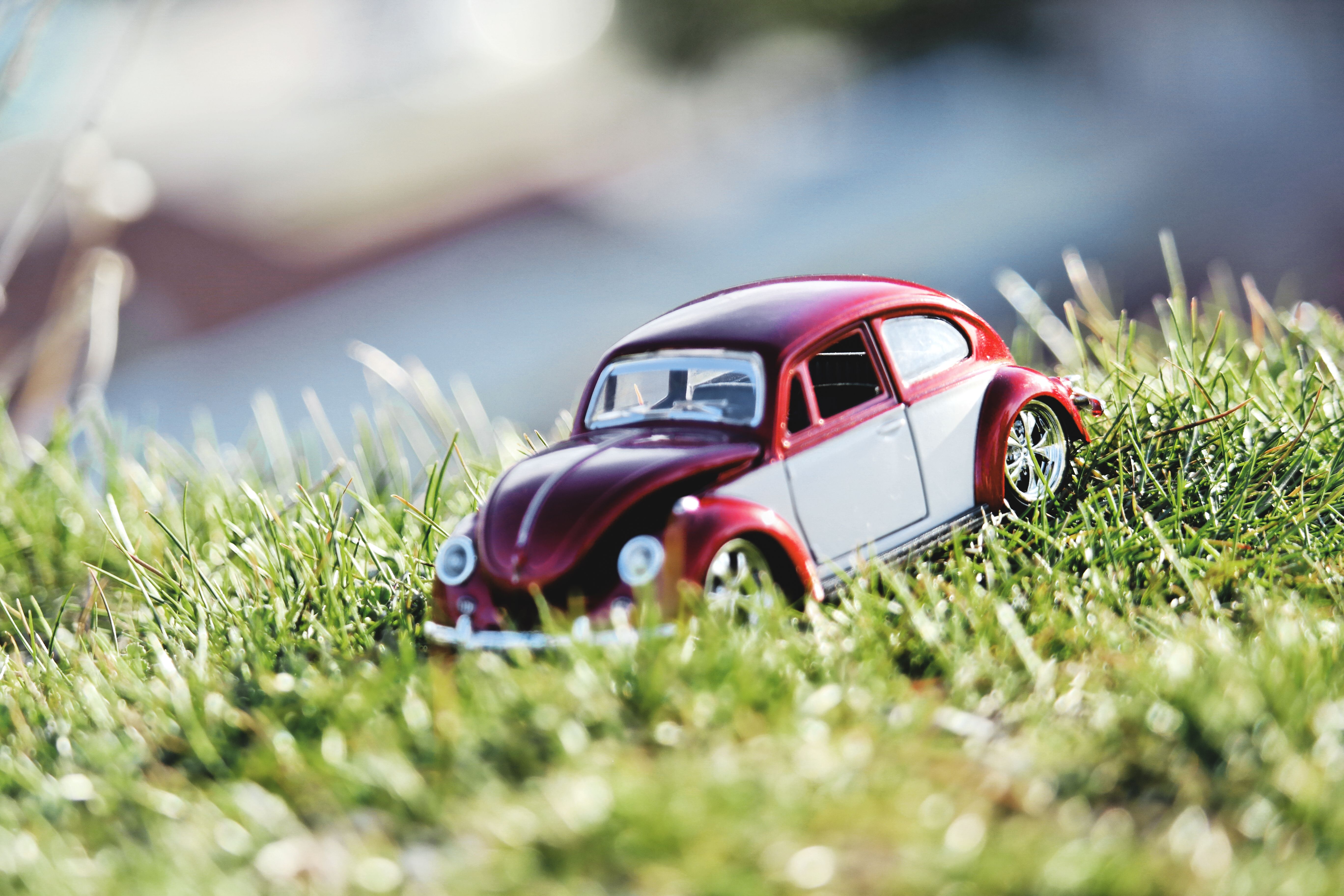 Red and White Beetle Car Toy on Grass Field in Bokeh Photography · Free