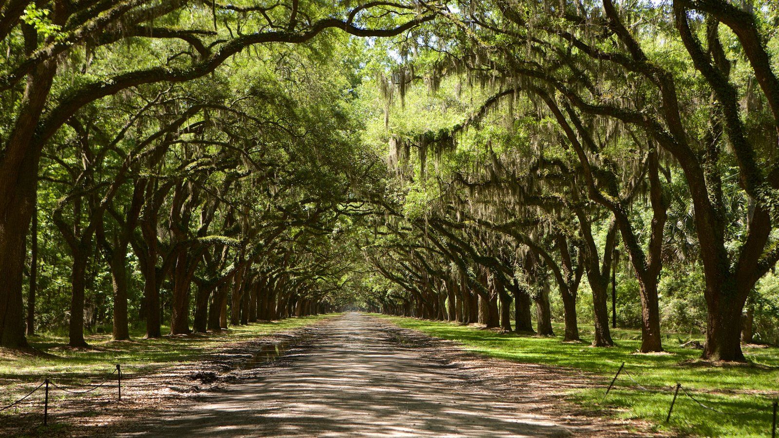 Wormsloe Wallpapers - Wallpaper Cave