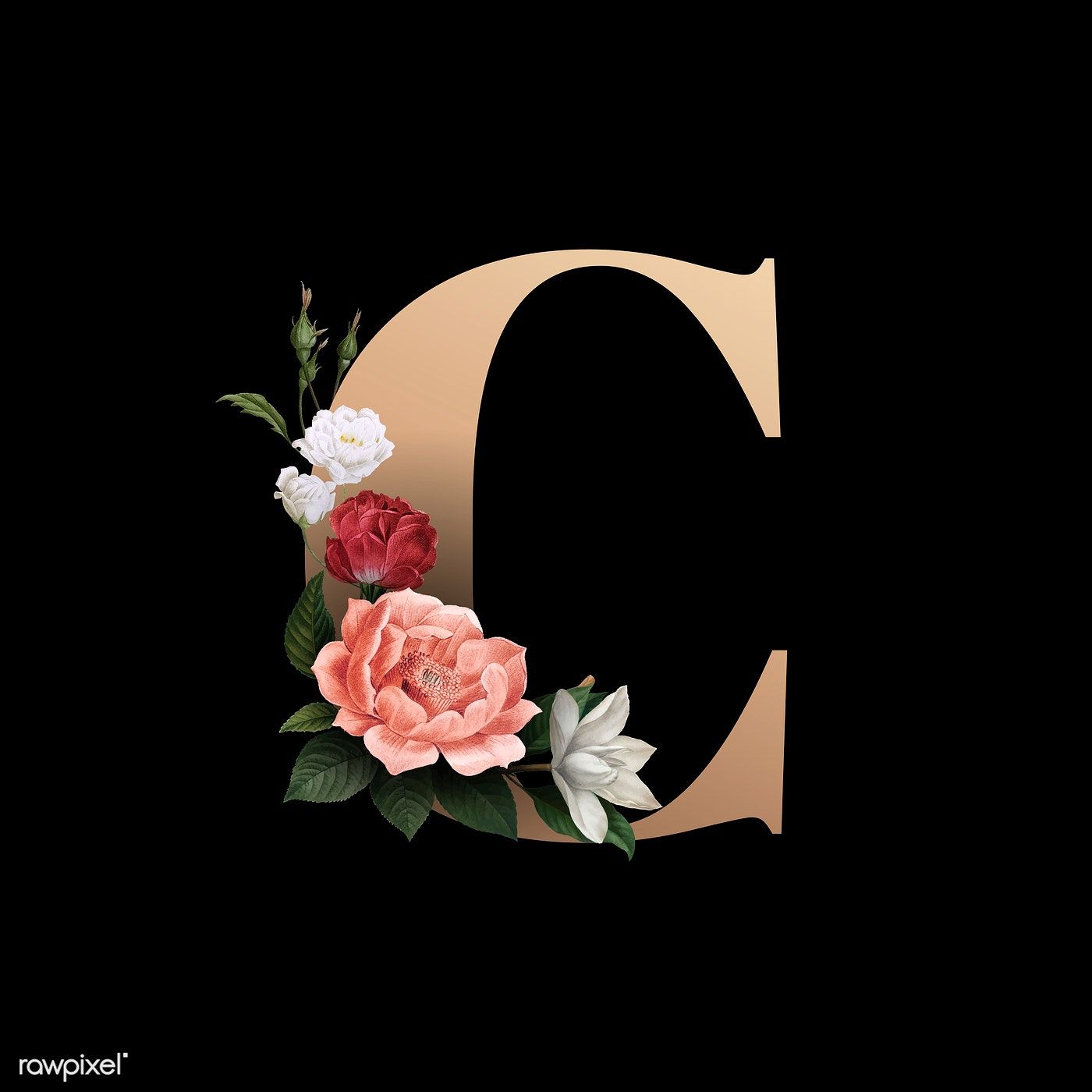 Classic and elegant floral alphabet font letter C vector. free image by rawpixel.com