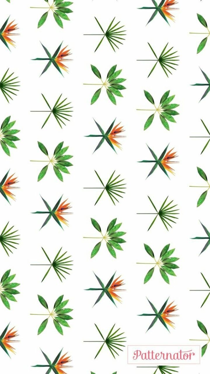 Ko Ko Bop Wallpaper uploaded