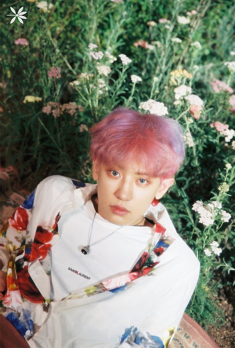 Update: EXO's Chanyeol Looks Pictureque In Colorful Teaser Image For “The War”