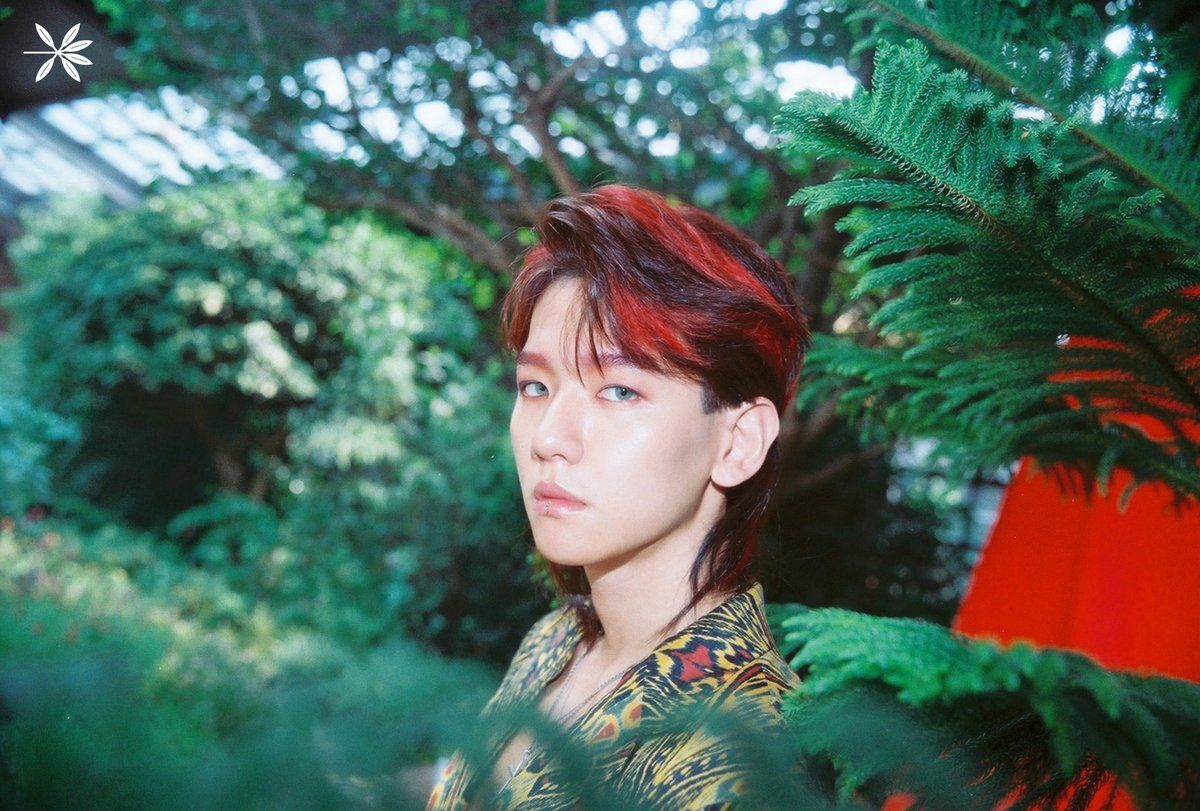 Update: EXO Reveals Exciting Details About Title Track “KoKoBop” + Gorgeous Teaser Photo Of Baekhyun