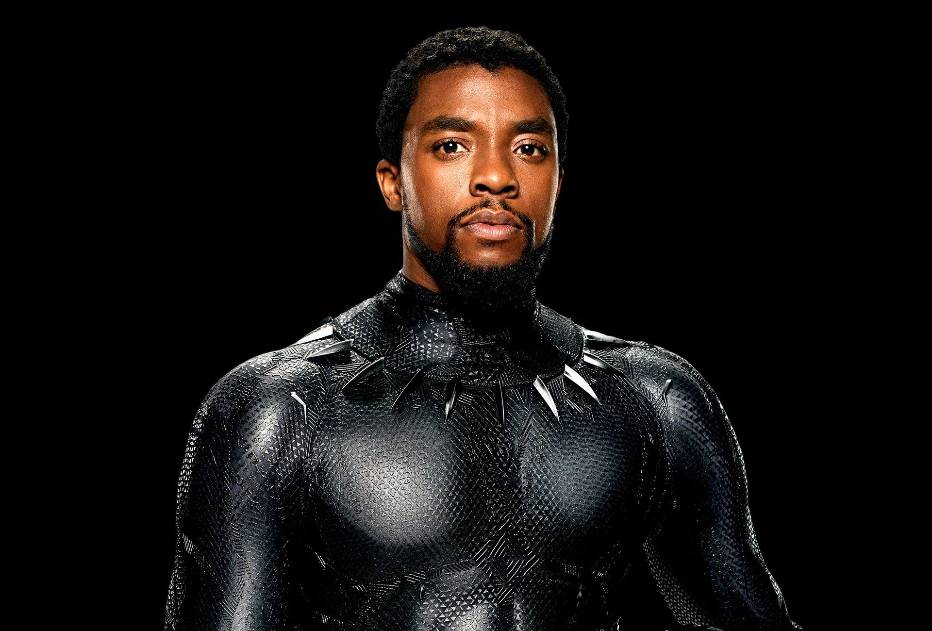Black Panther HD Wallpaper. Background Imagex1300