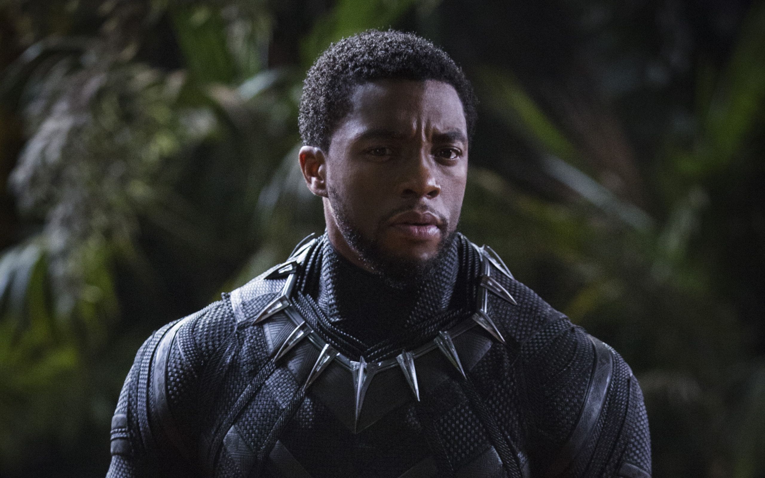 Desktop Wallpaper Chadwick Boseman, Black Panther, 2018 Movie, 4k, HD Image, Picture, Background, 241abf