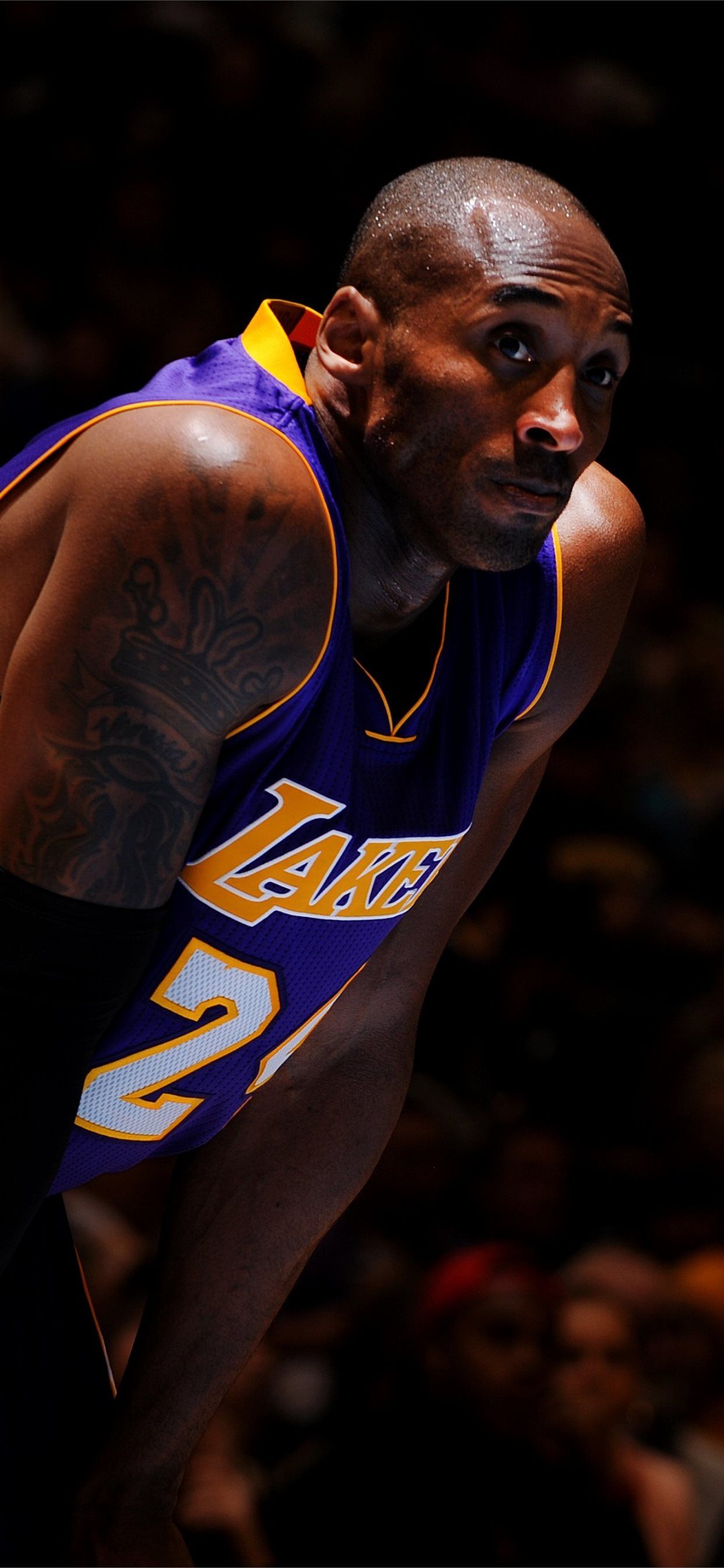 NBA Kobe Bryant Best Basketball Players of 2015 Lo... iPhone 11 Wallpapers Free Download