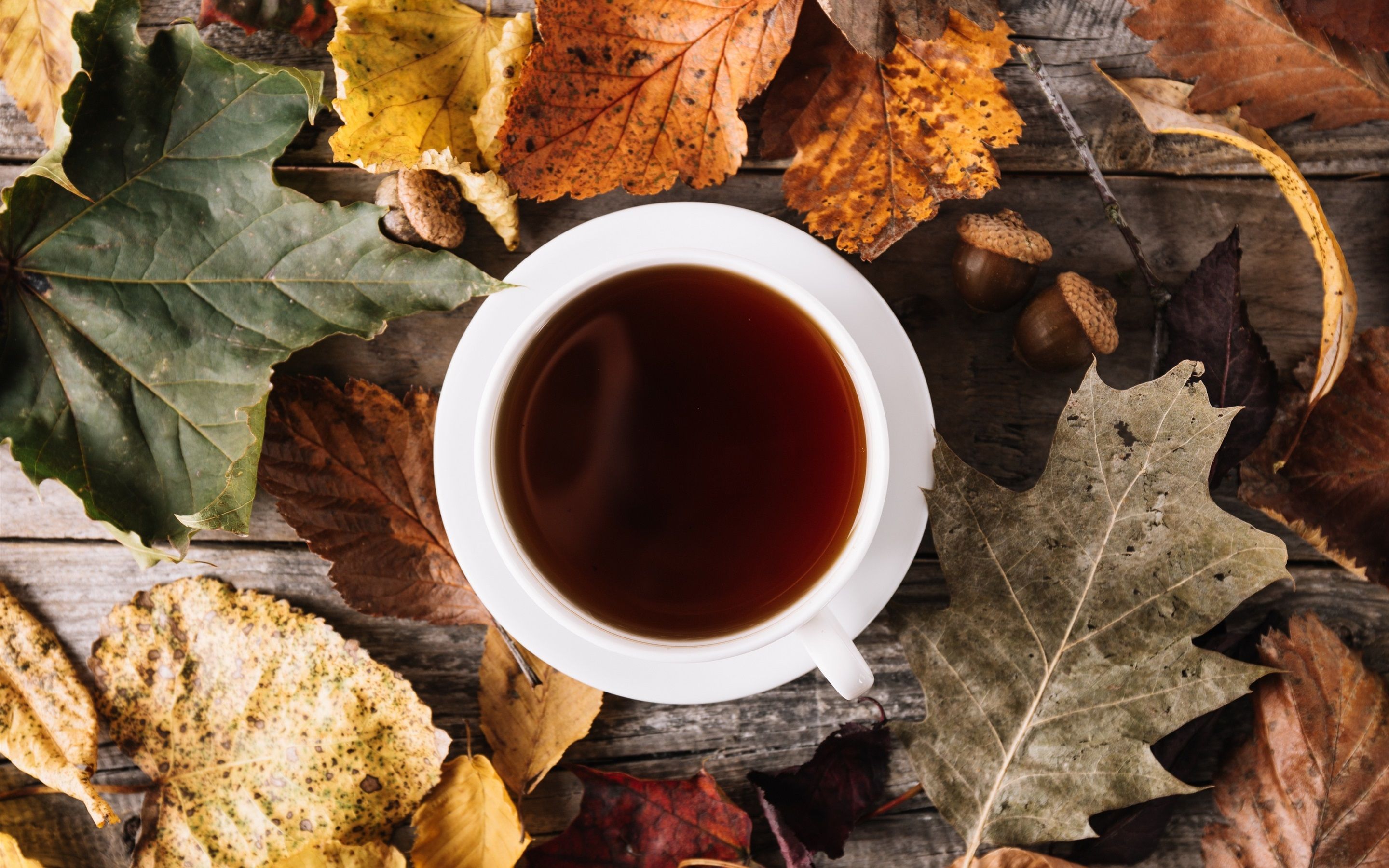 Wallpaper Foliage, cup, coffee, autumn 2880x1800 HD Picture, Image