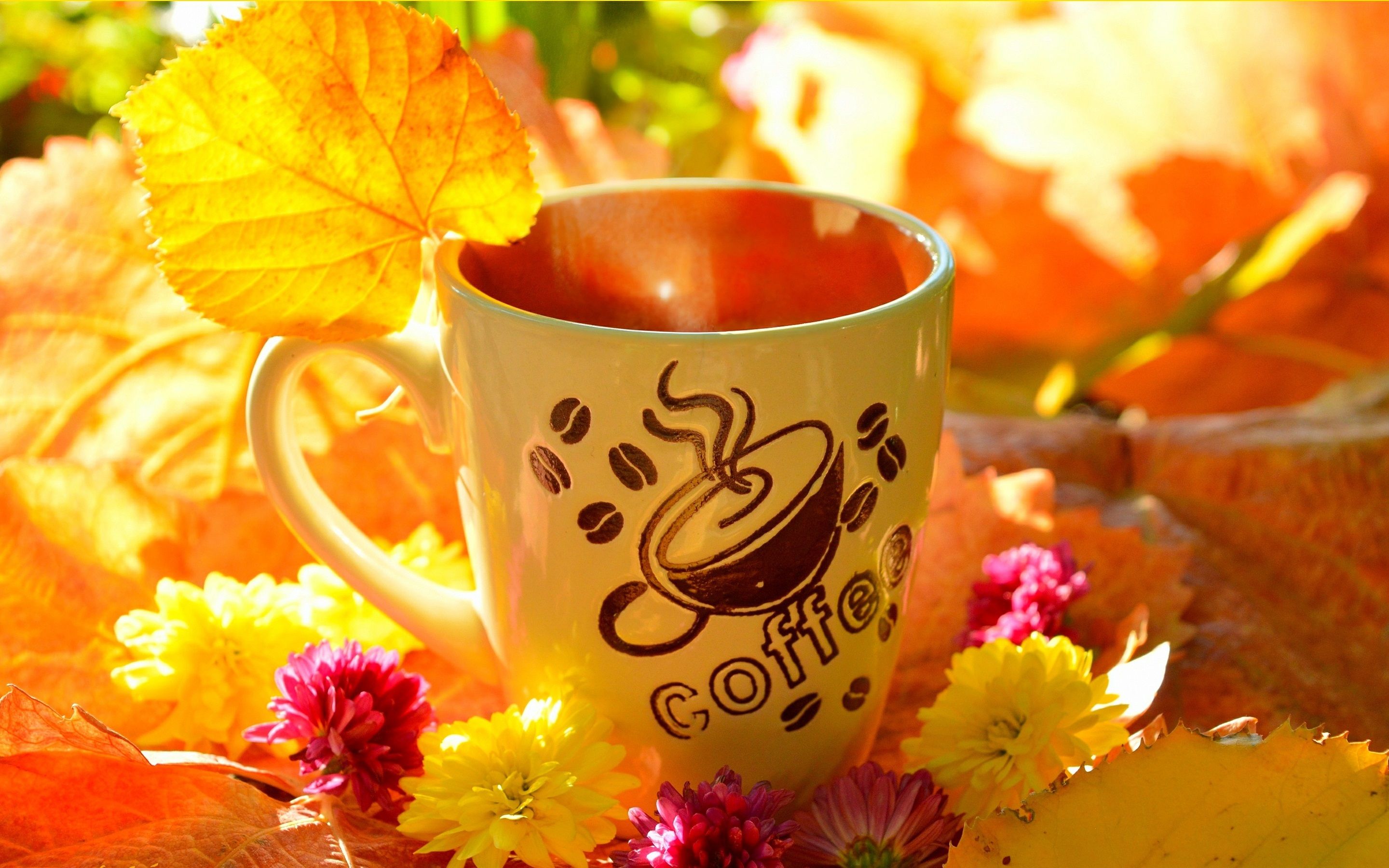 Wallpaper Coffee cup, yellow leaves, flowers, autumn 2880x1800 HD Picture, Image