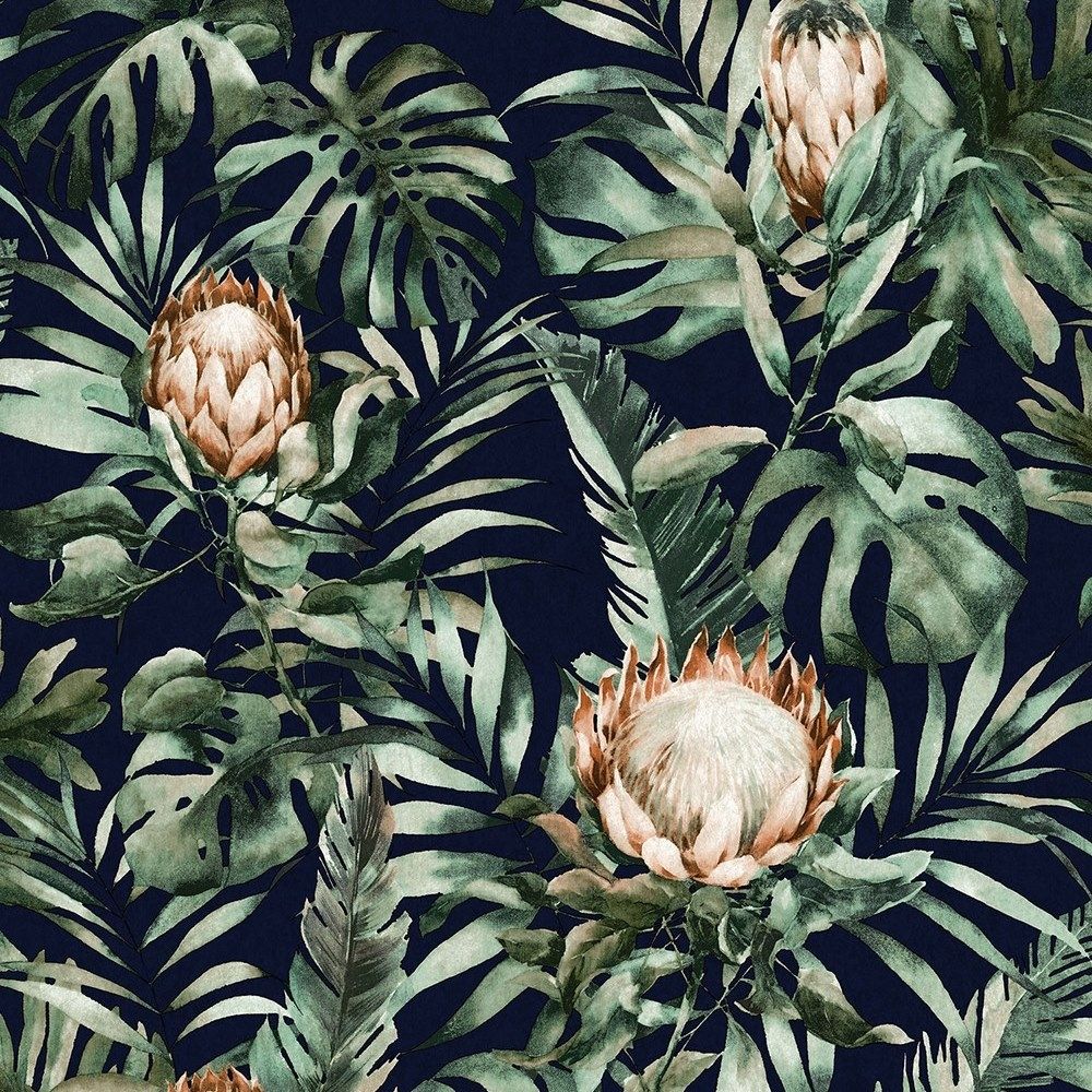 Protea Wallpapers - Wallpaper Cave