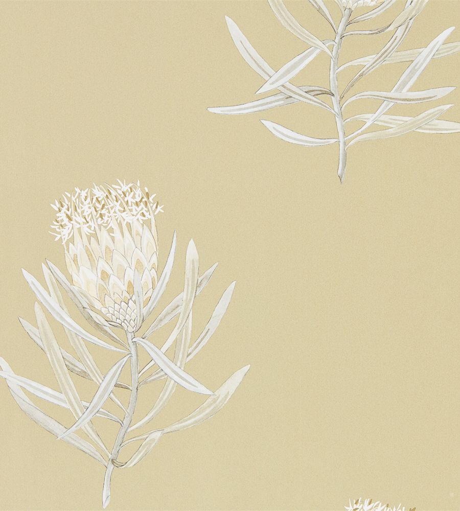 Sanderson Flower Wallpaper
